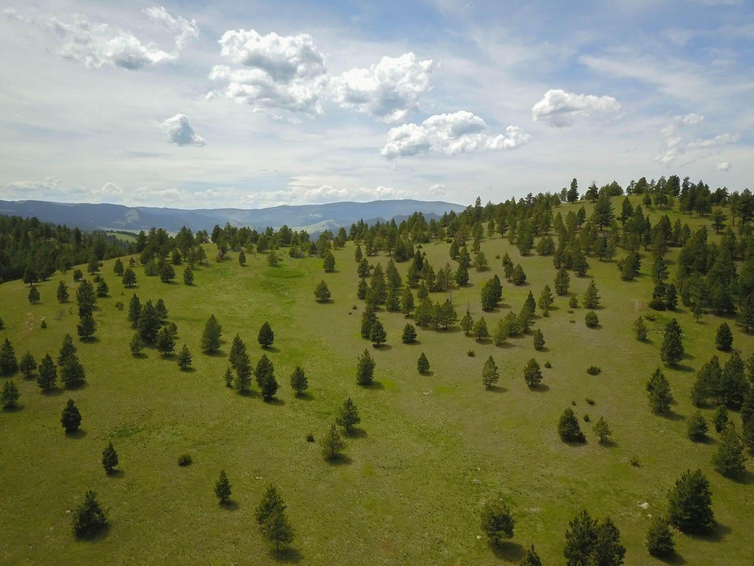 Tbd Hwy 12 W Property Photo 5