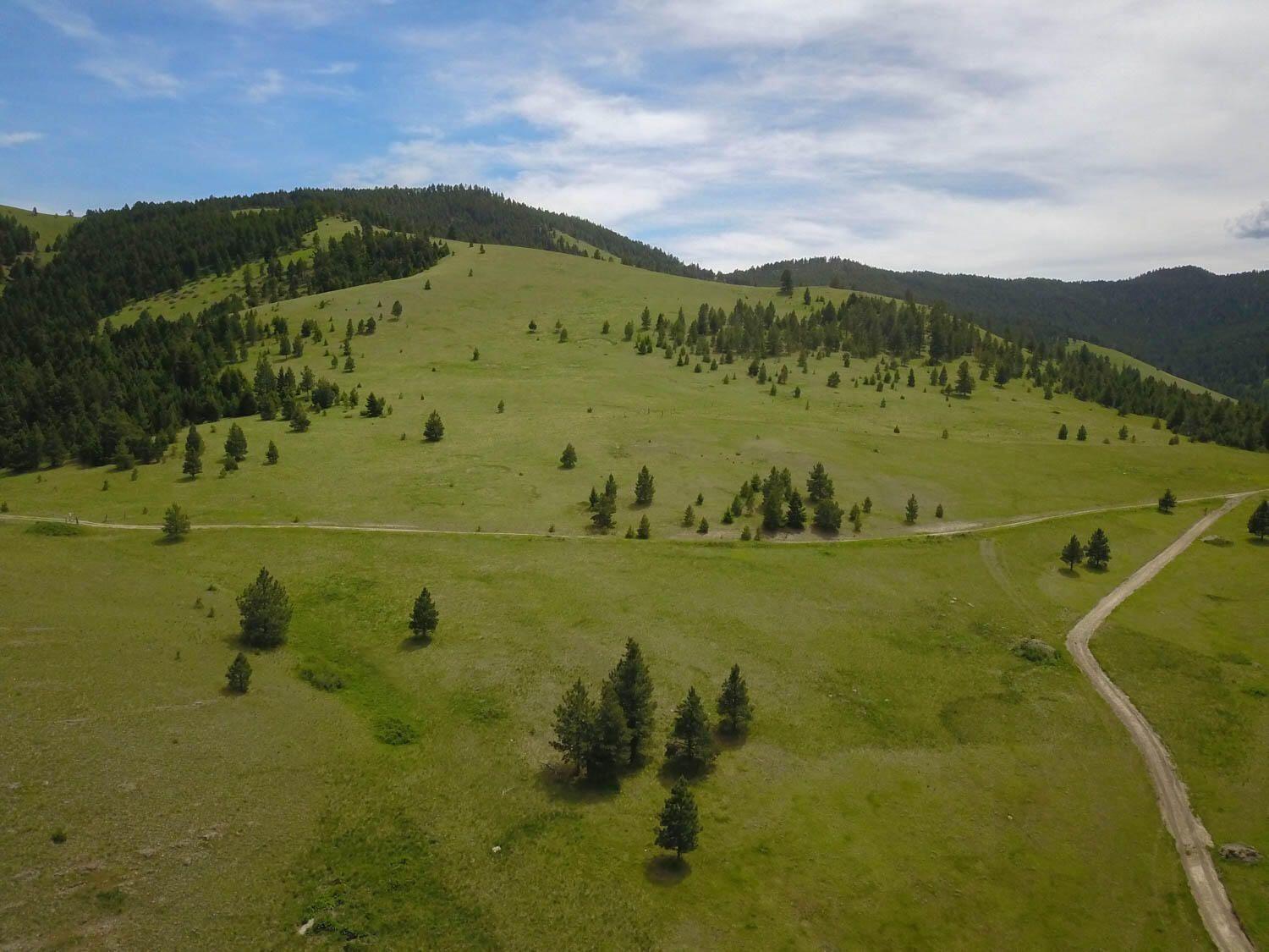 Tbd Hwy 12 W Property Photo 7