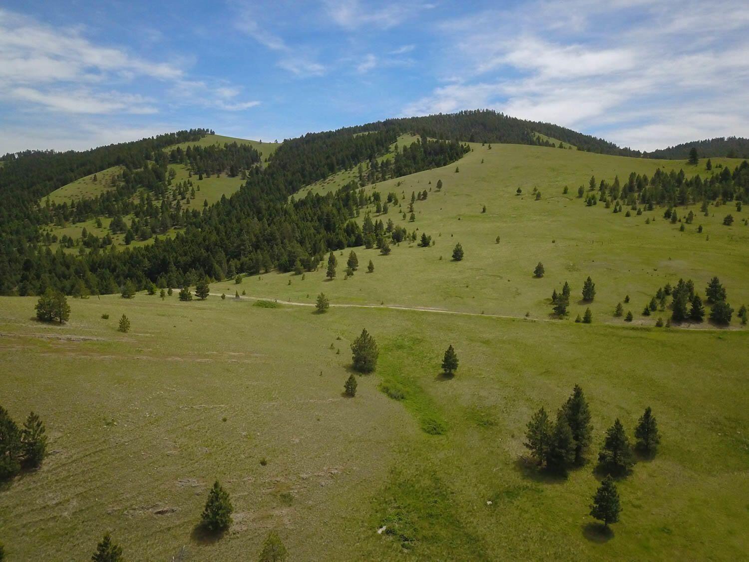 Tbd Hwy 12 W Property Photo 8
