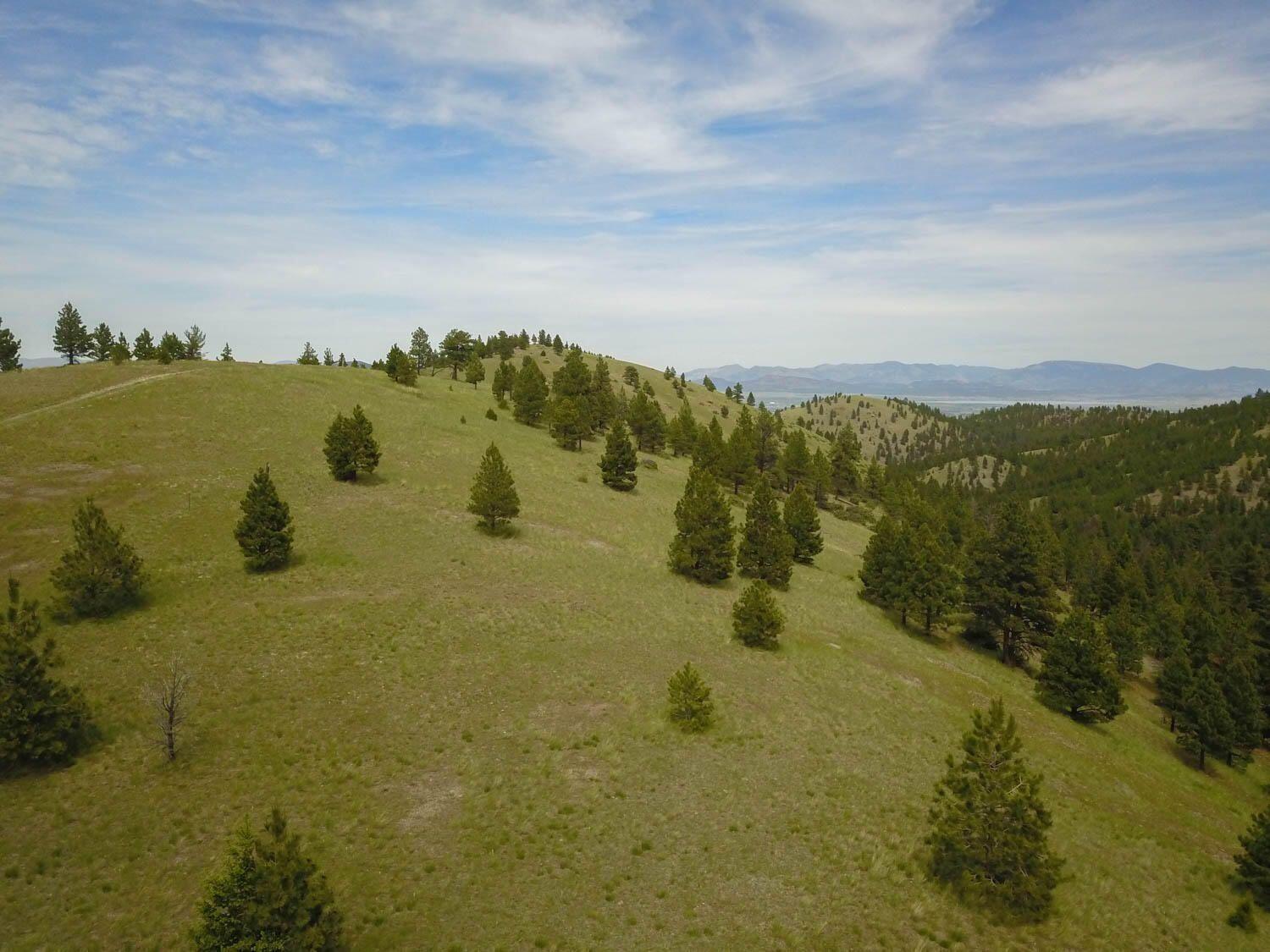 Tbd Hwy 12 W Property Photo 9