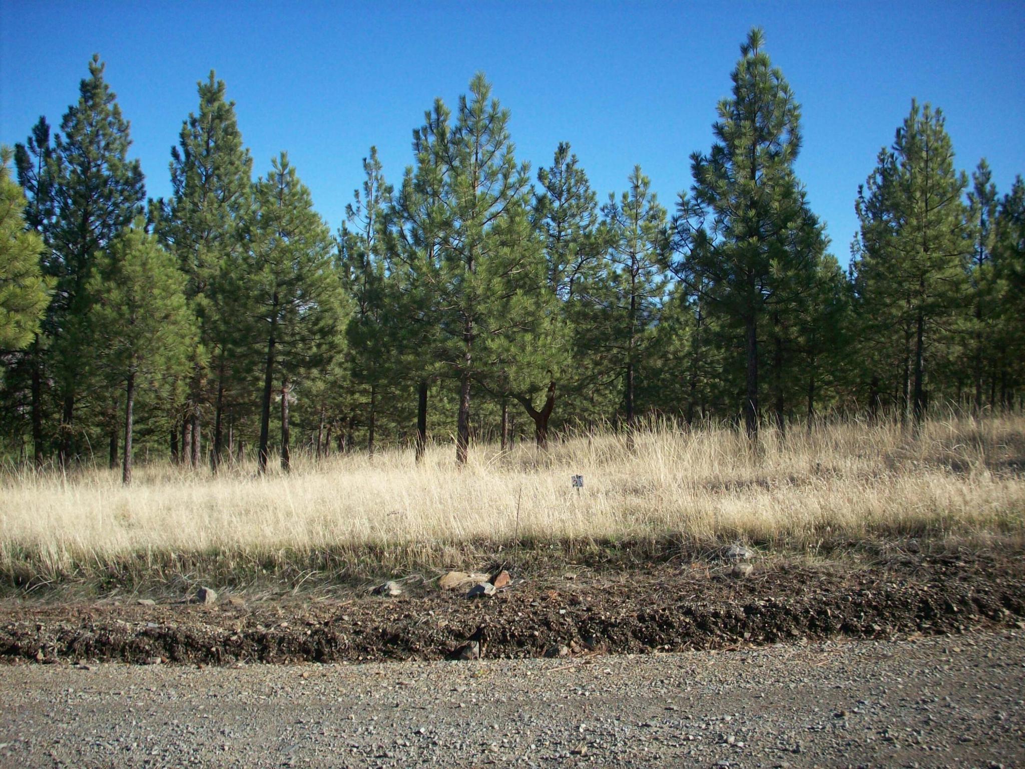 Lot 24 Leiber Lane Property Photo 1