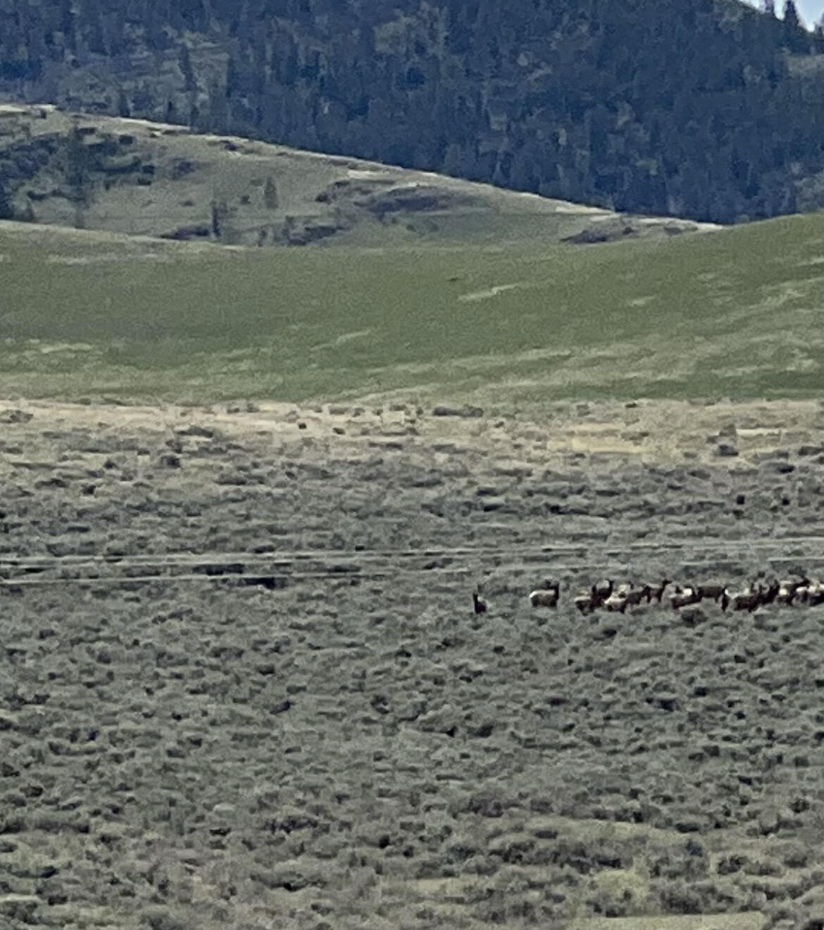Nhn Garcon Gulch Road Property Photo 1