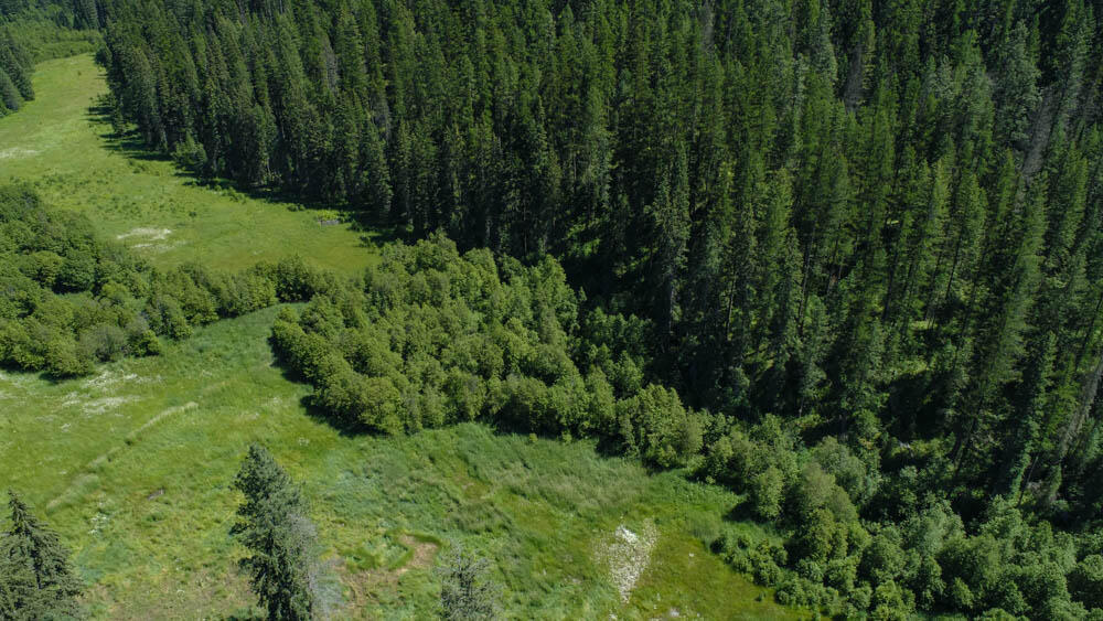 2013 Five Mile Creek Road Property Photo 4