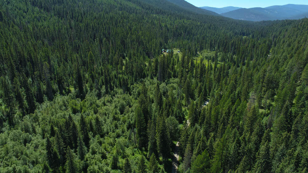 2013 Five Mile Creek Road Property Photo 5