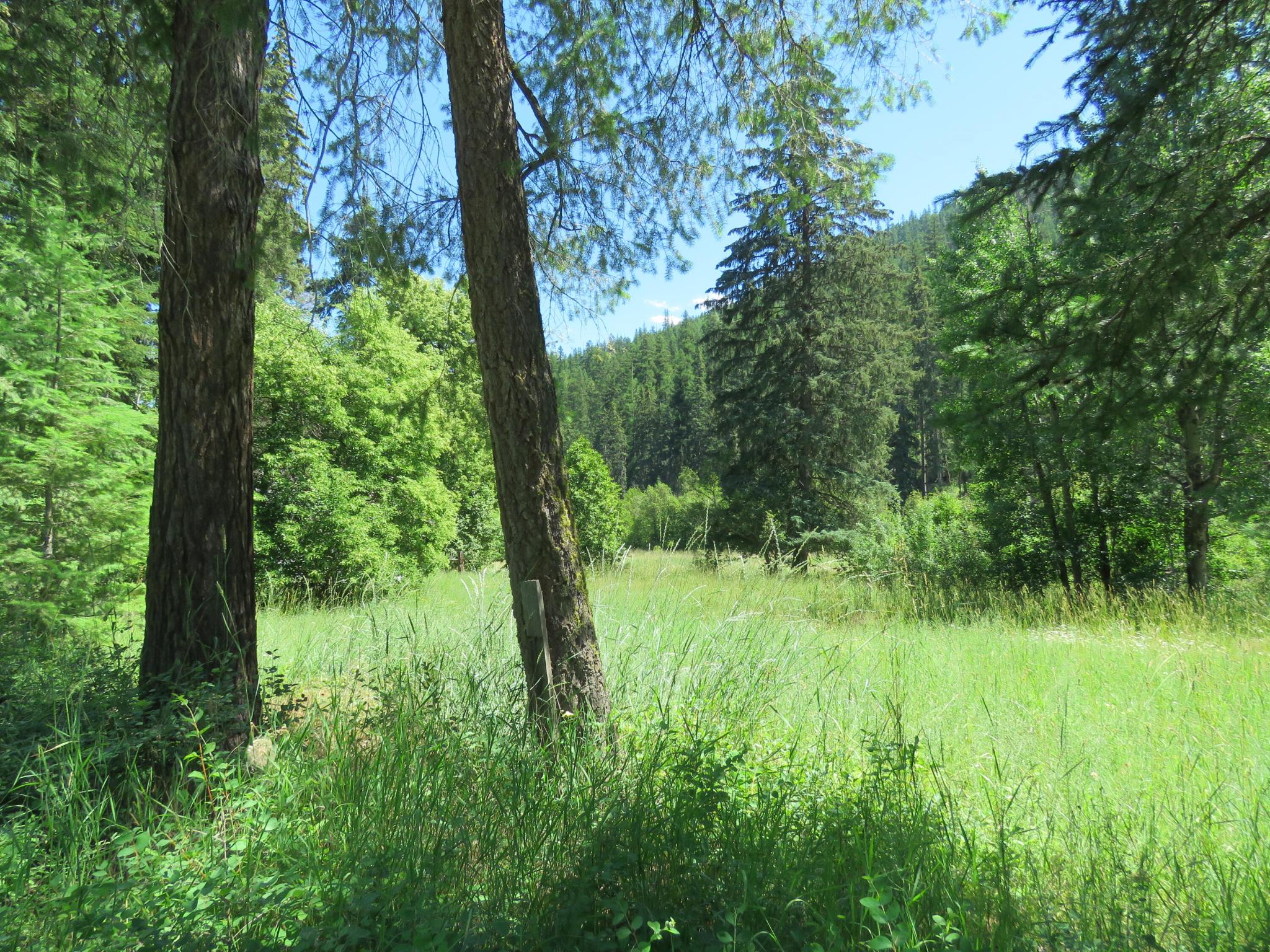2013 Five Mile Creek Road Property Photo 6