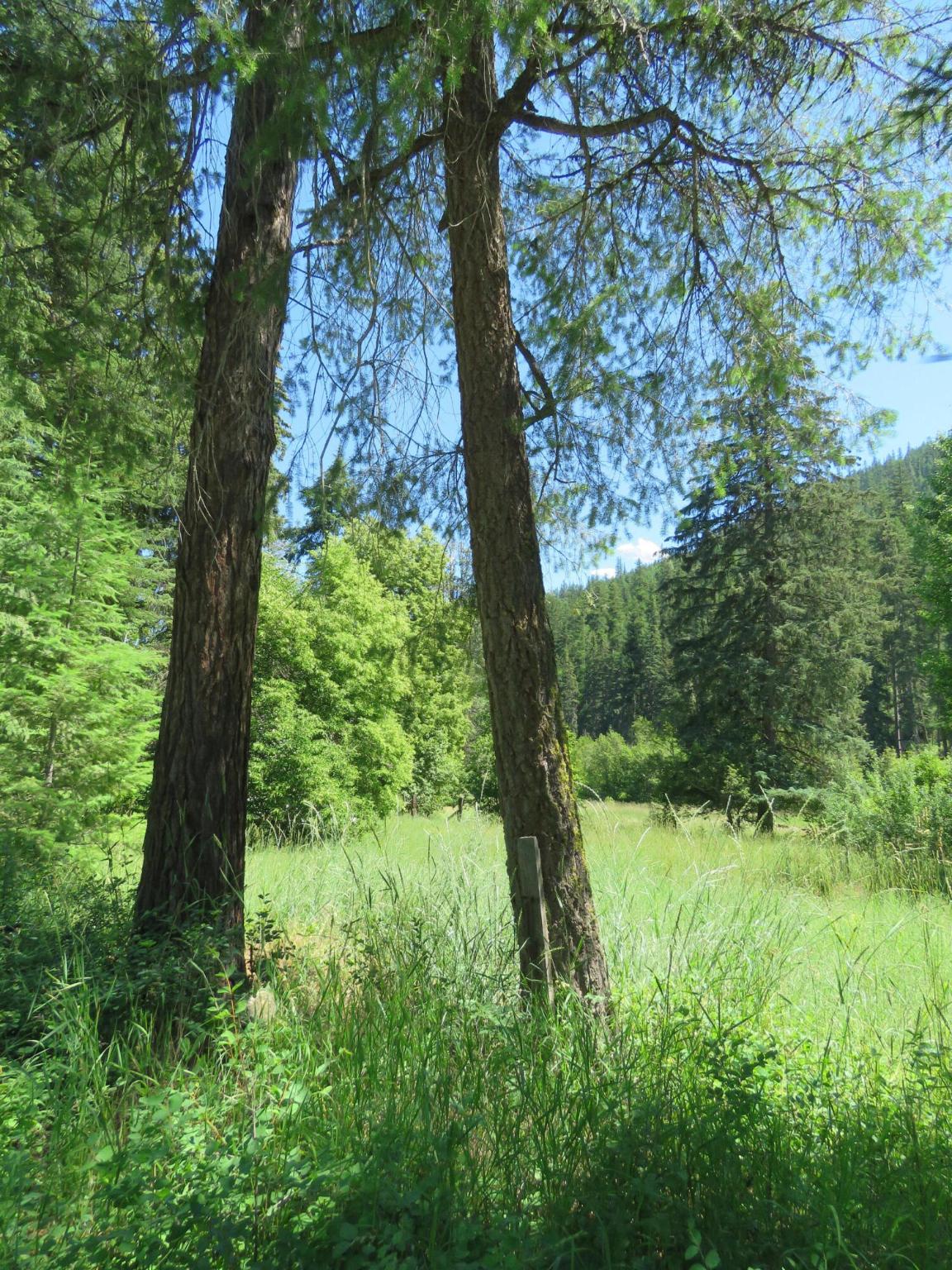 2013 Five Mile Creek Road Property Photo 7