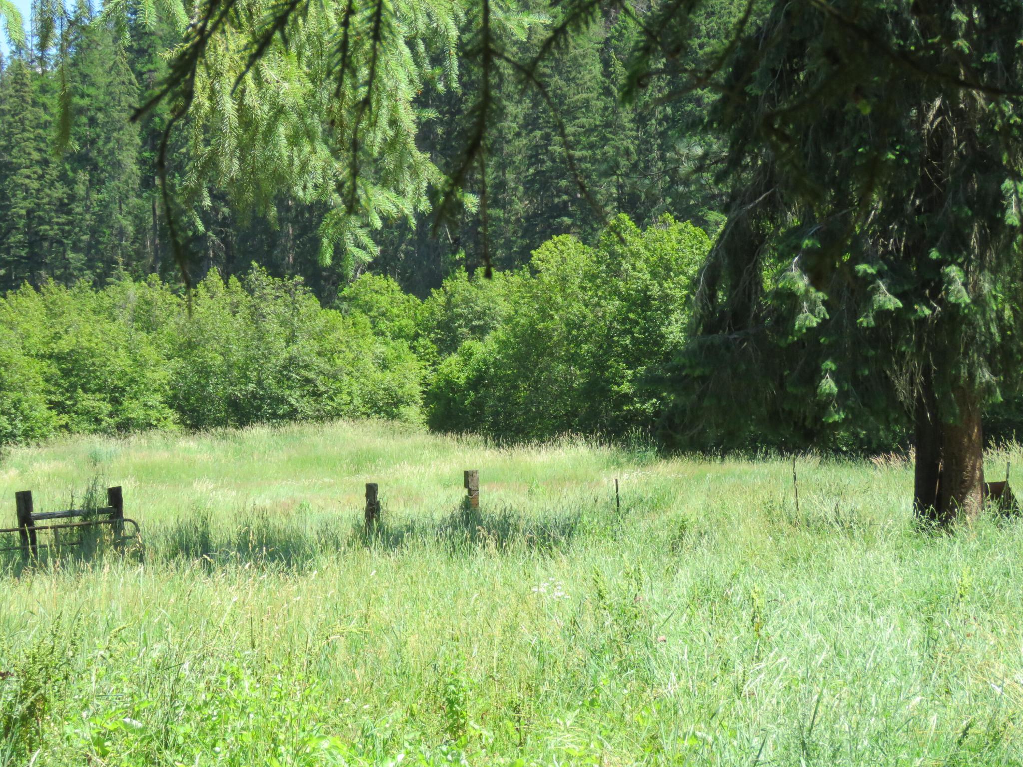 2013 Five Mile Creek Road Property Photo 8