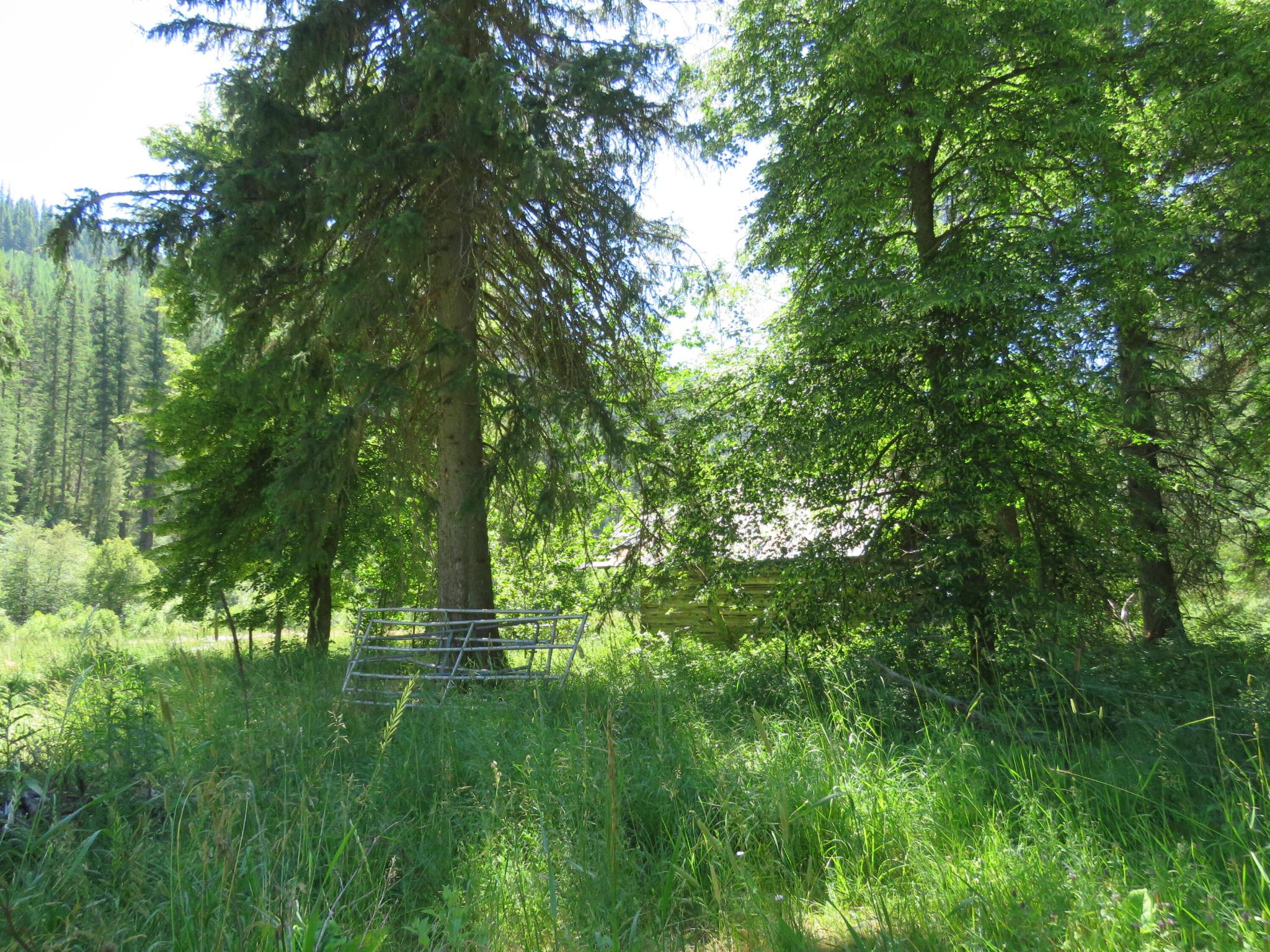 2013 Five Mile Creek Road Property Photo 9