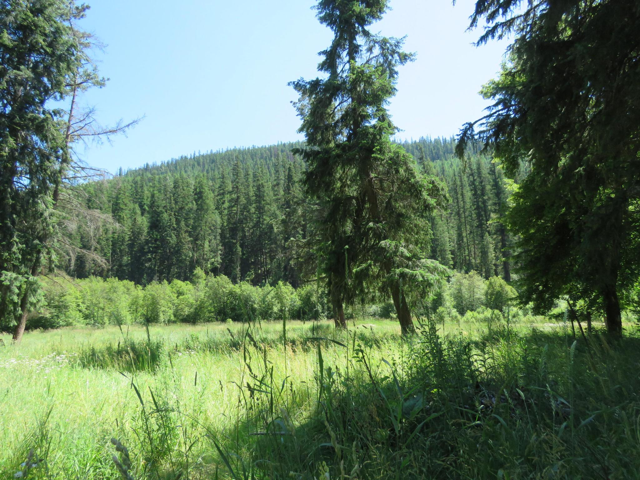 2013 Five Mile Creek Road Property Photo 10