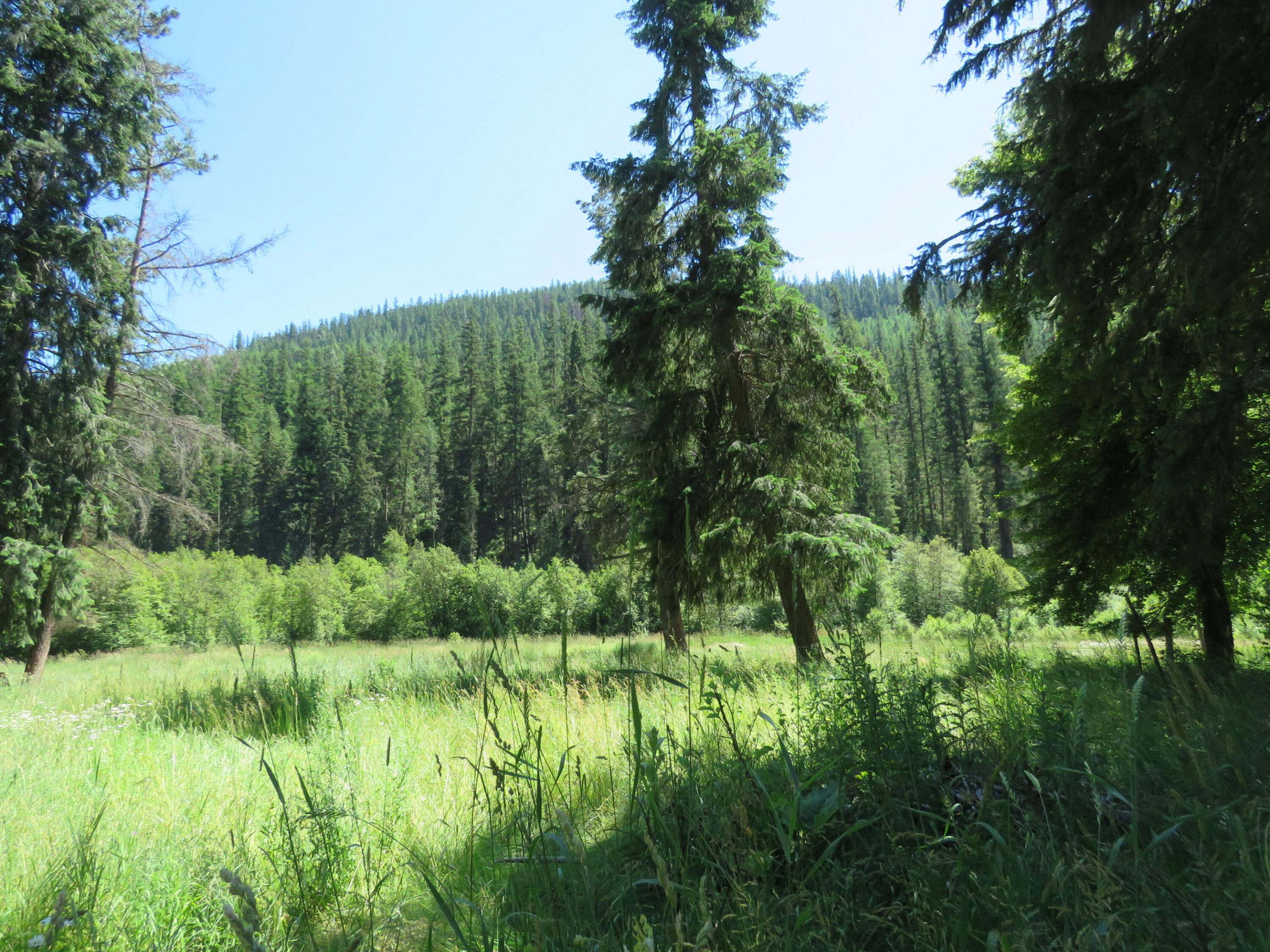 2013 Five Mile Creek Road Property Photo 10