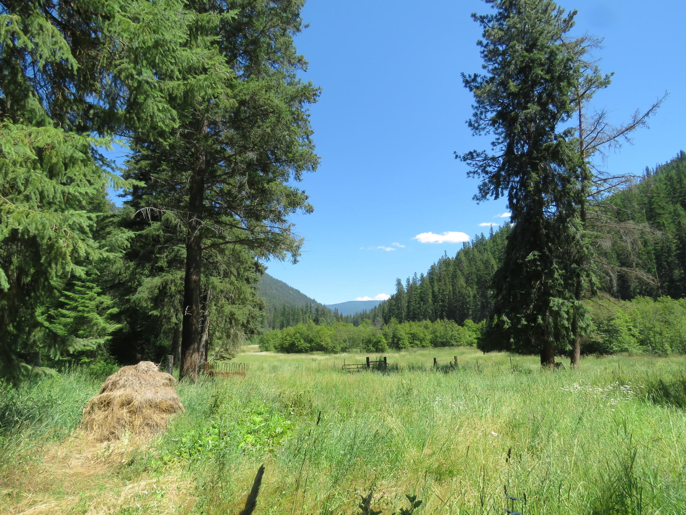2013 Five Mile Creek Road Property Photo 11