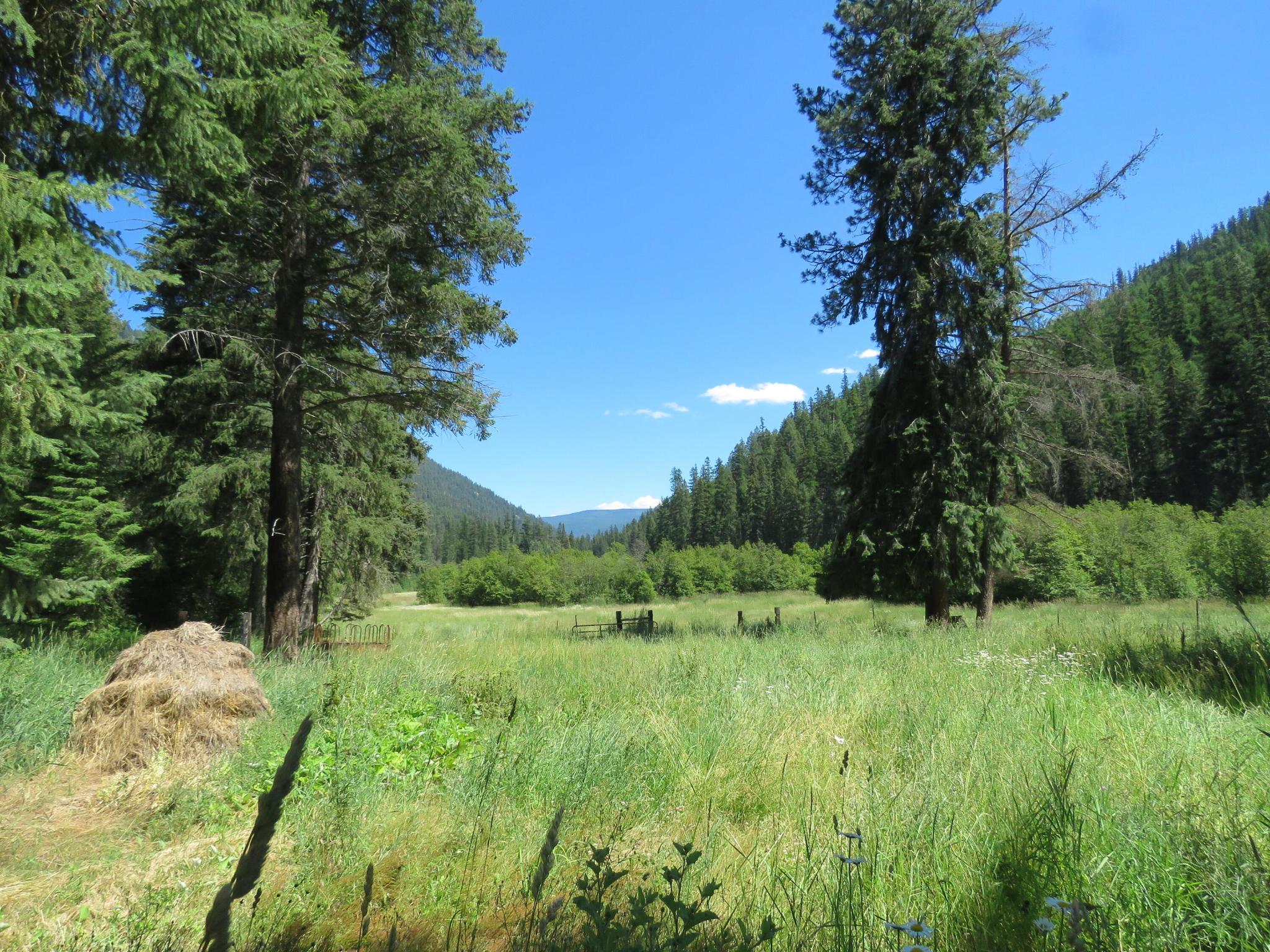 2013 Five Mile Creek Road Property Photo 12