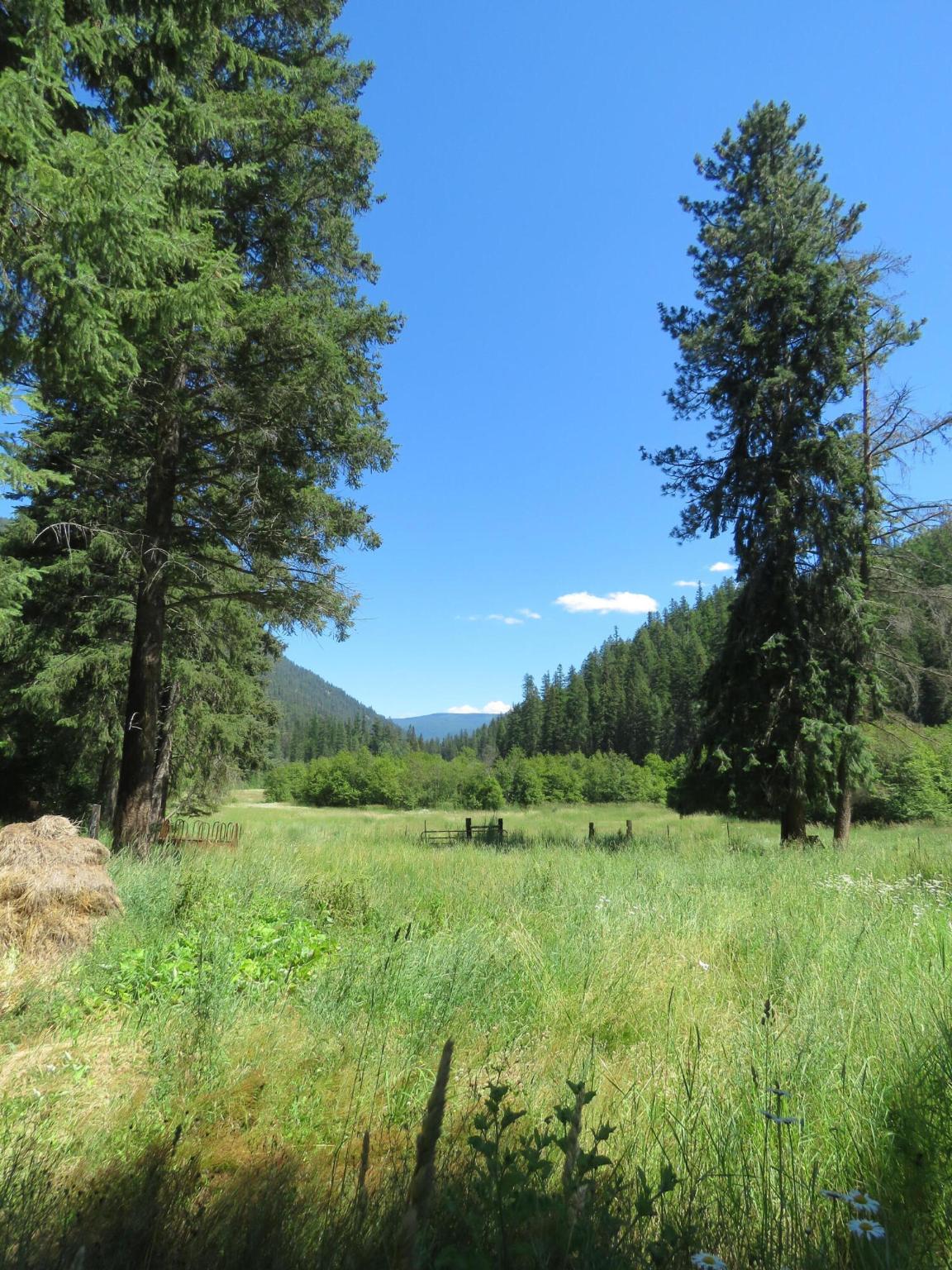2013 Five Mile Creek Road Property Photo 13