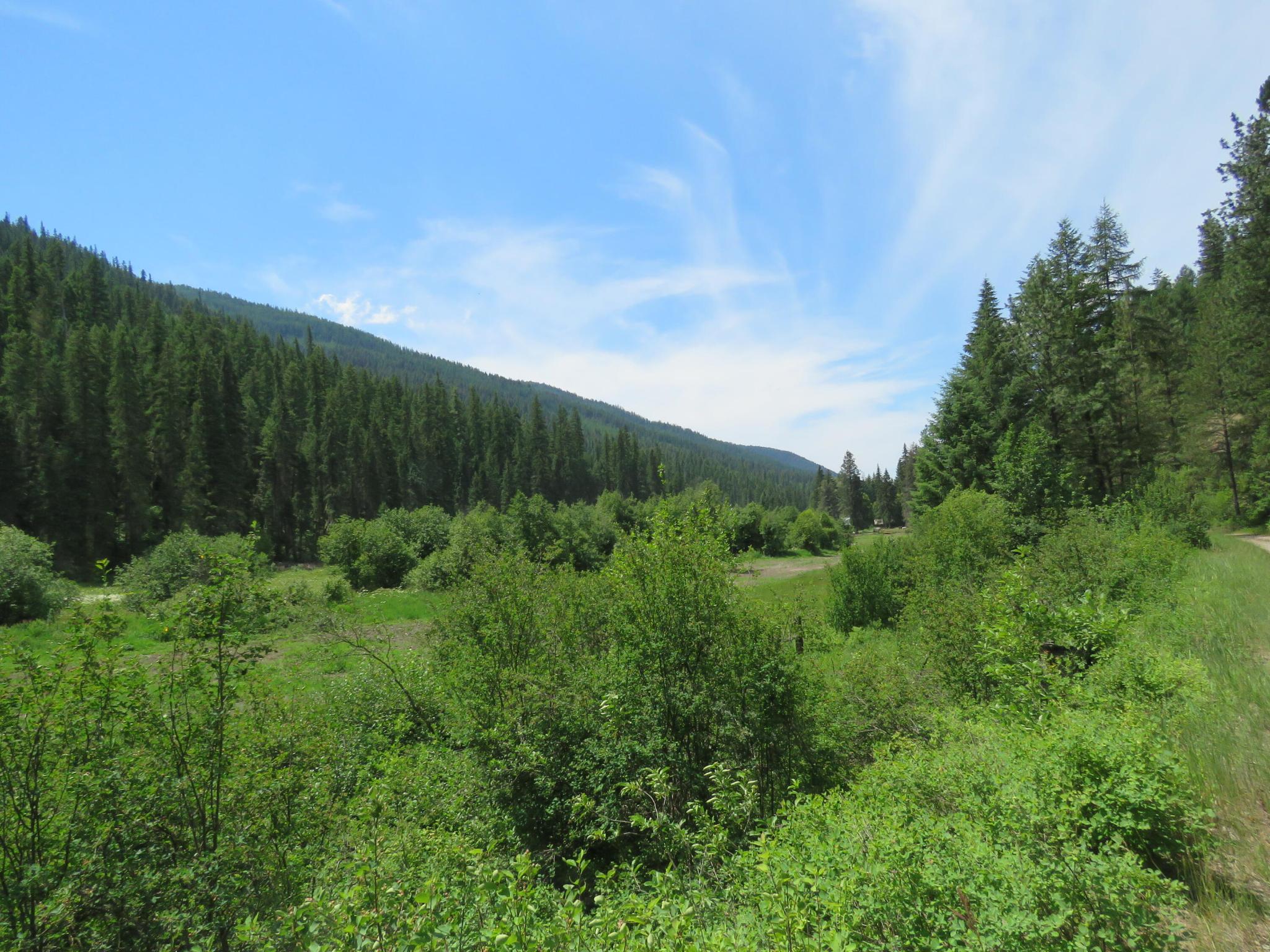 2013 Five Mile Creek Road Property Photo 14