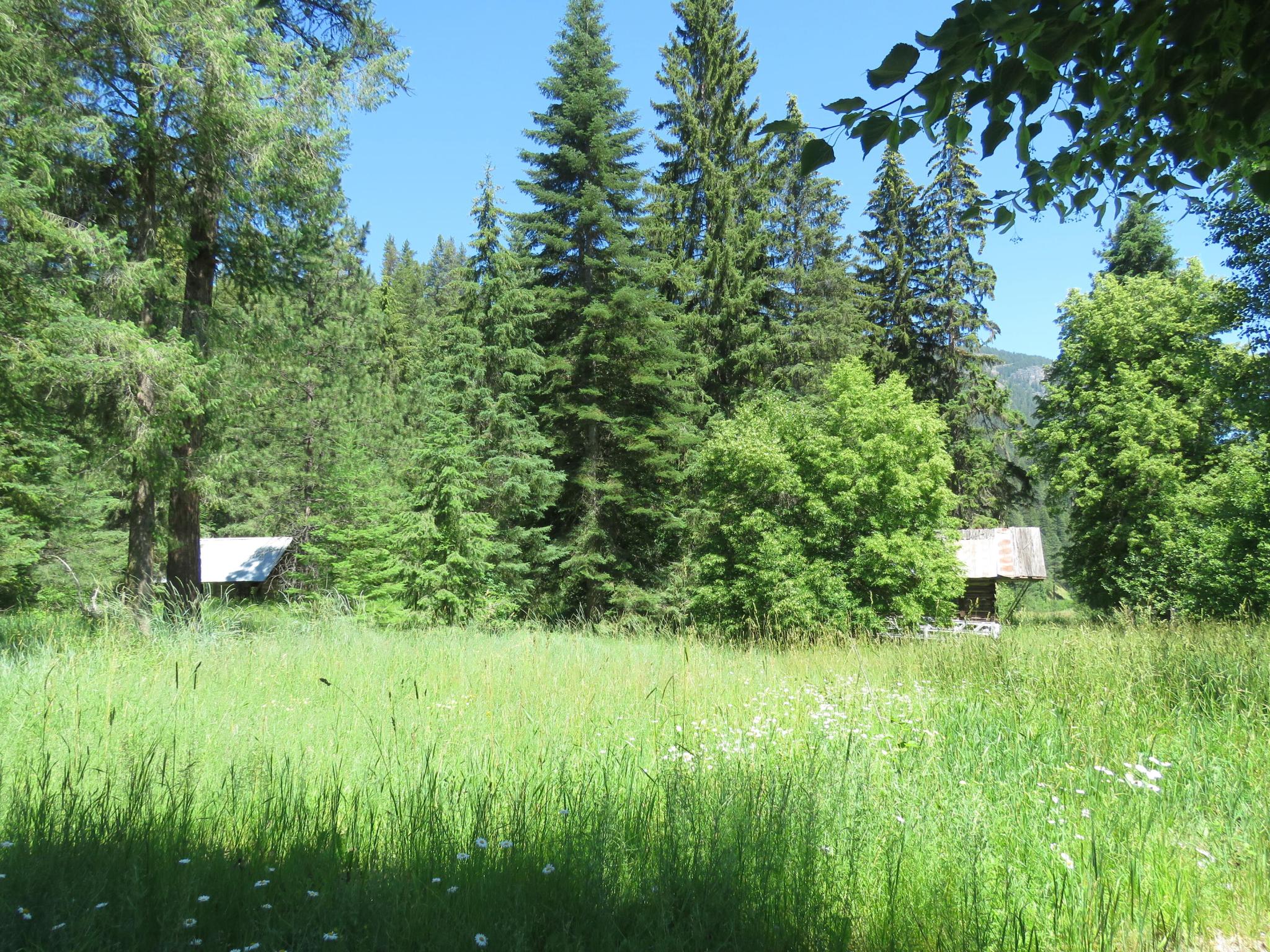 2013 Five Mile Creek Road Property Photo 23
