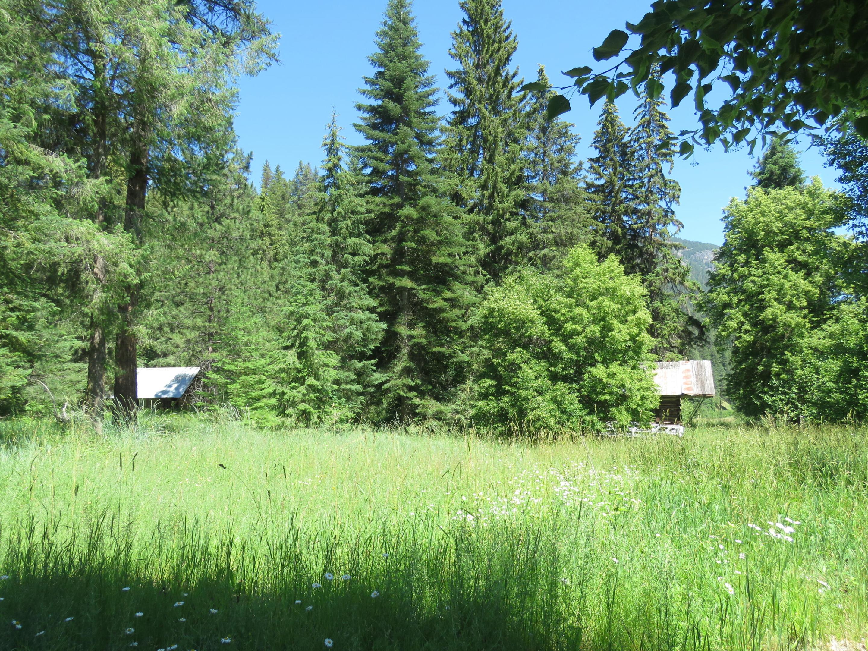 2013 Five Mile Creek Road Property Photo 23