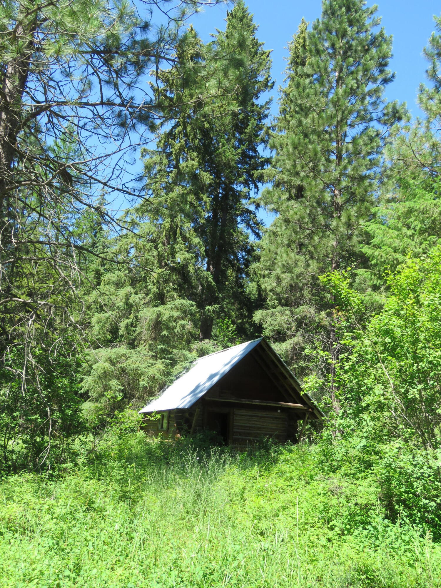 2013 Five Mile Creek Road Property Photo 26