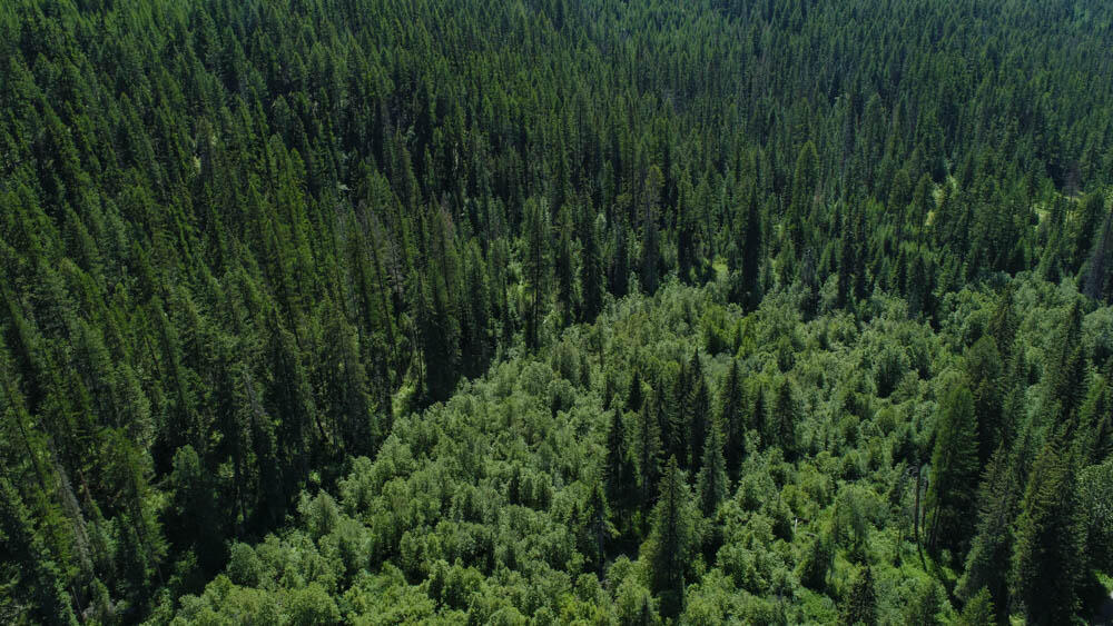 2013 Five Mile Creek Road Property Photo 27