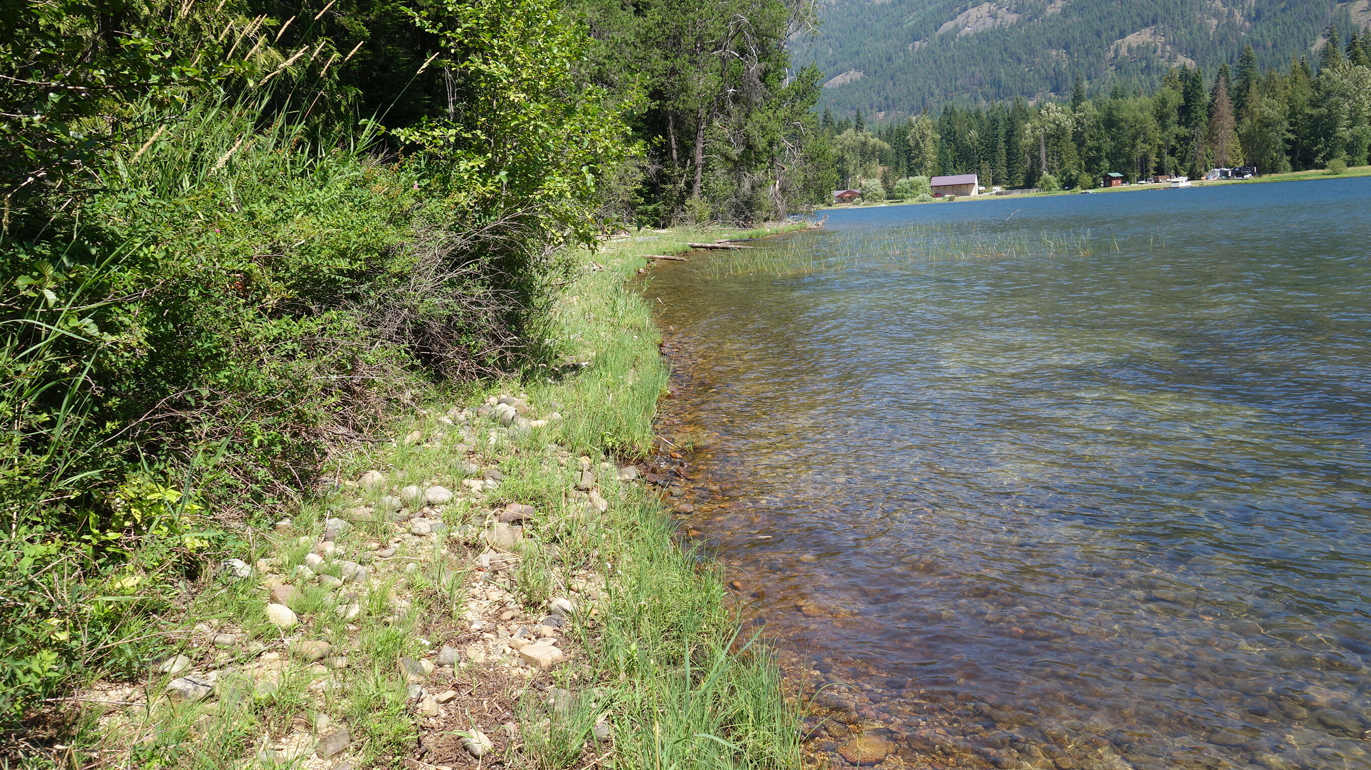 000 Kyran Lane Property Photo 2