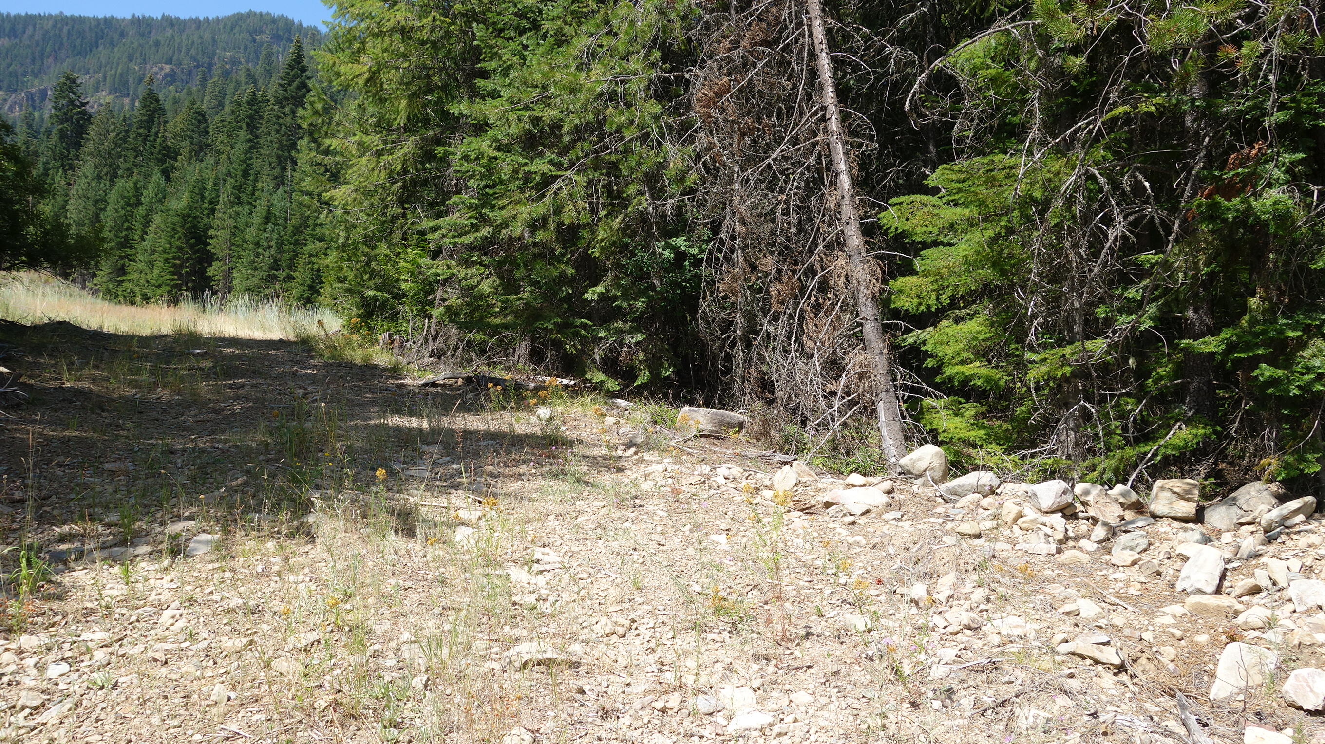 000 Kyran Lane Property Photo 3