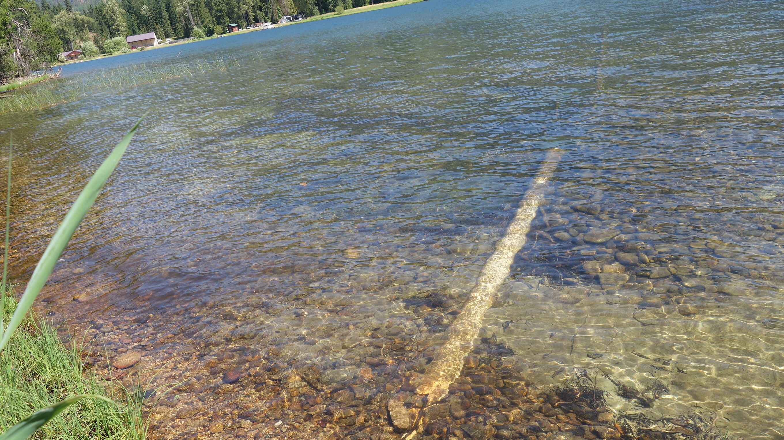 000 Kyran Lane Property Photo 5