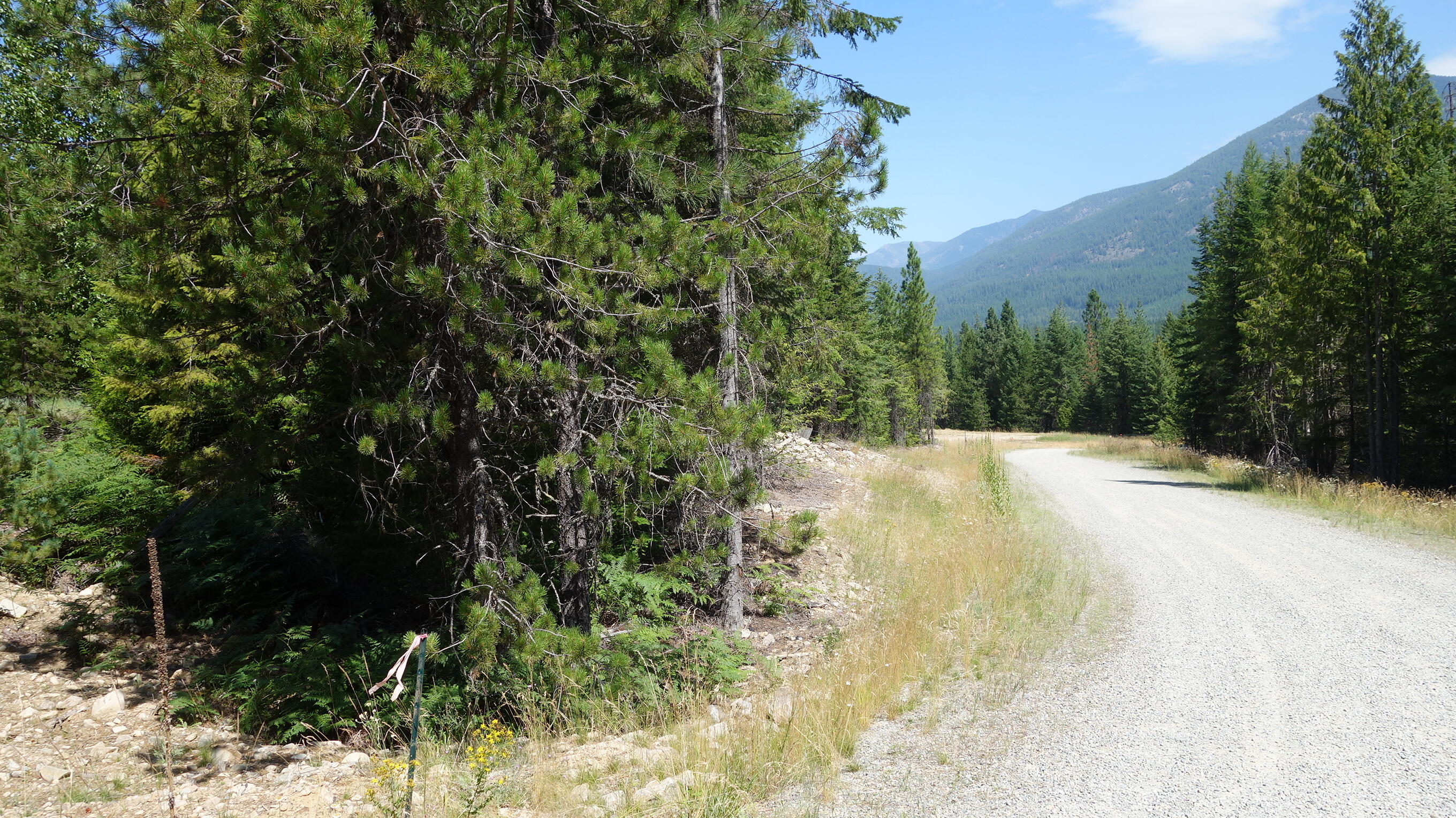 000 Kyran Lane Property Photo 6