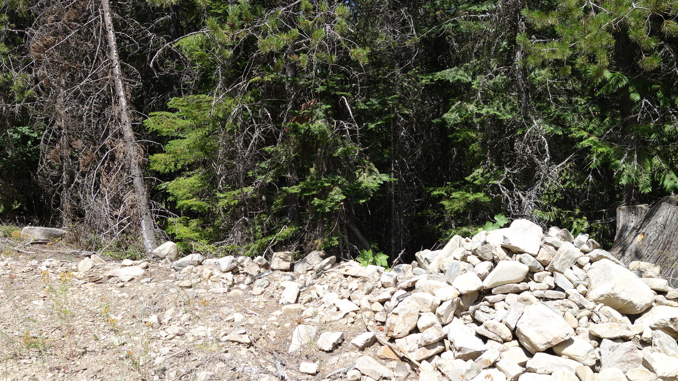 000 Kyran Lane Property Photo 7