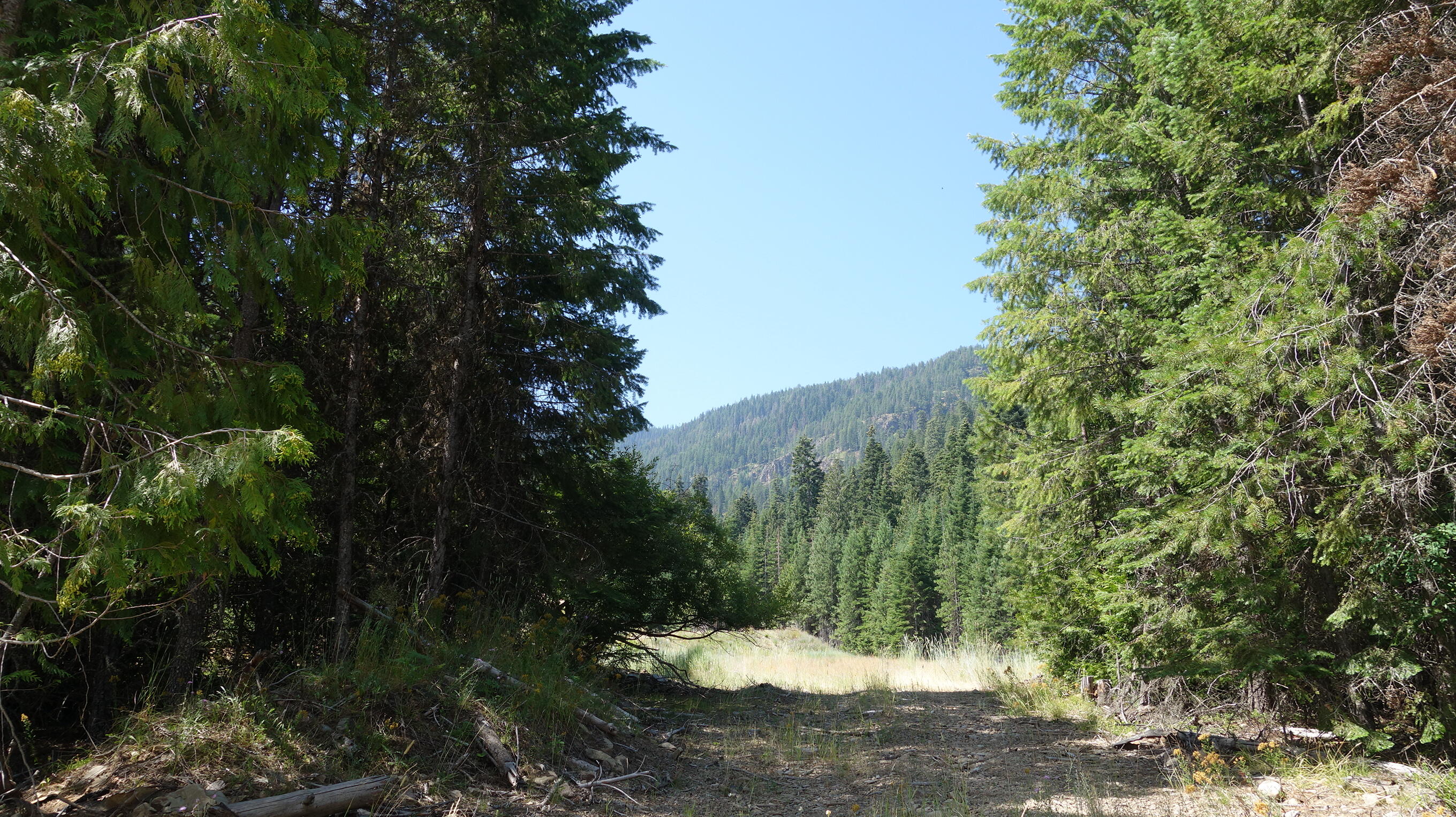 000 Kyran Lane Property Photo 8