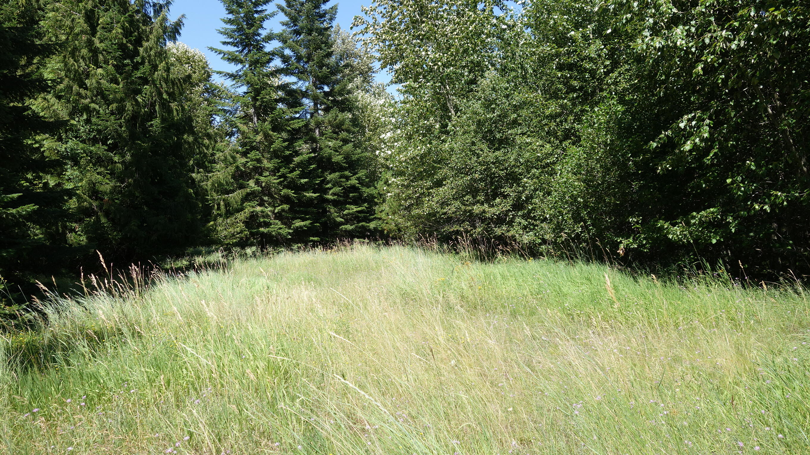 000 Kyran Lane Property Photo 9