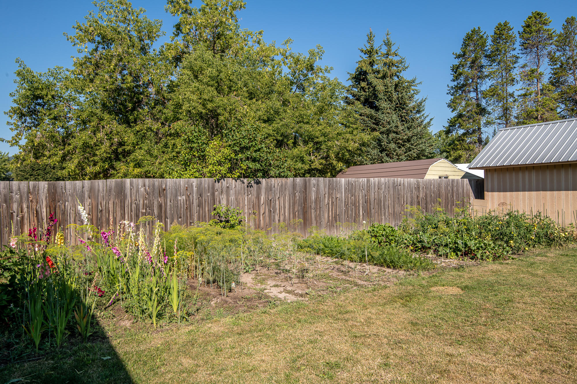 772 Cedar Street Property Photo 35