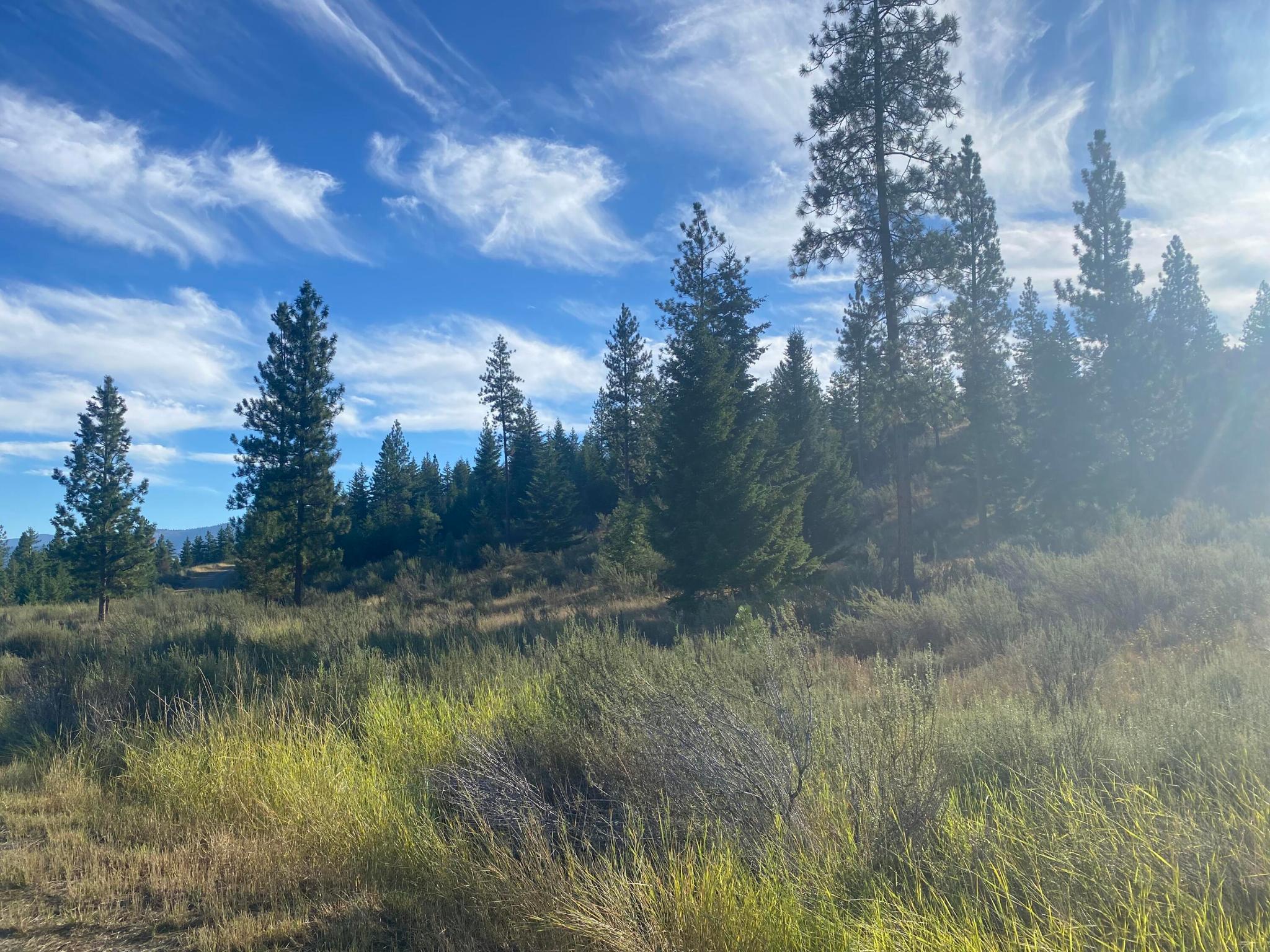 Lot 14 Bighorn Property Photo 1