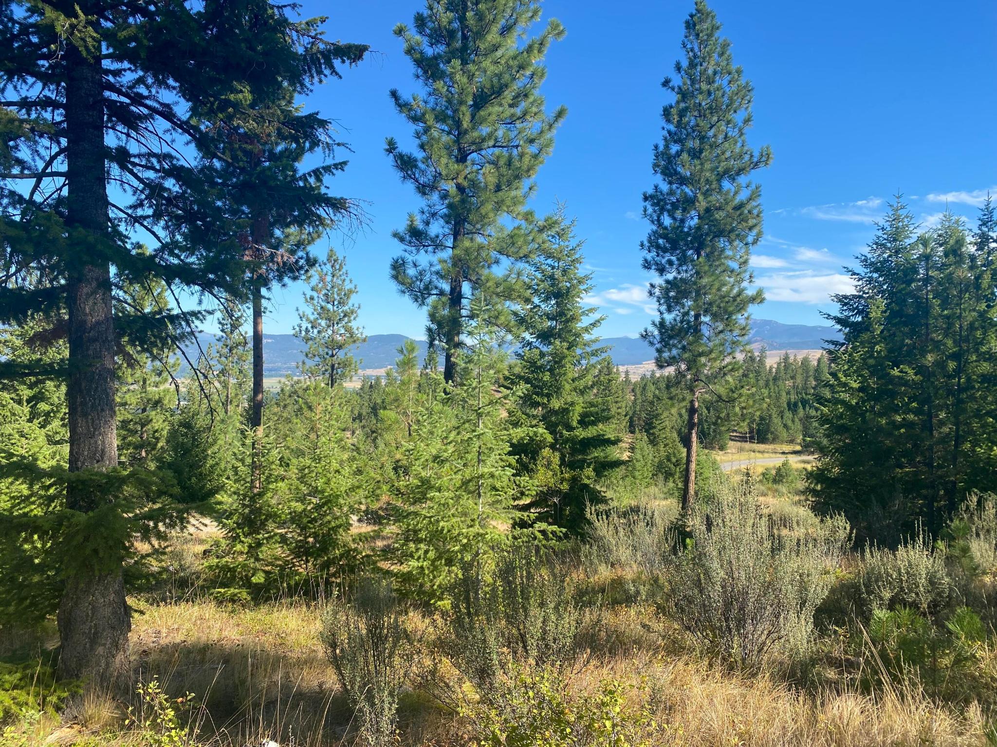 Lot 27 Bighorn Bluff Property Photo