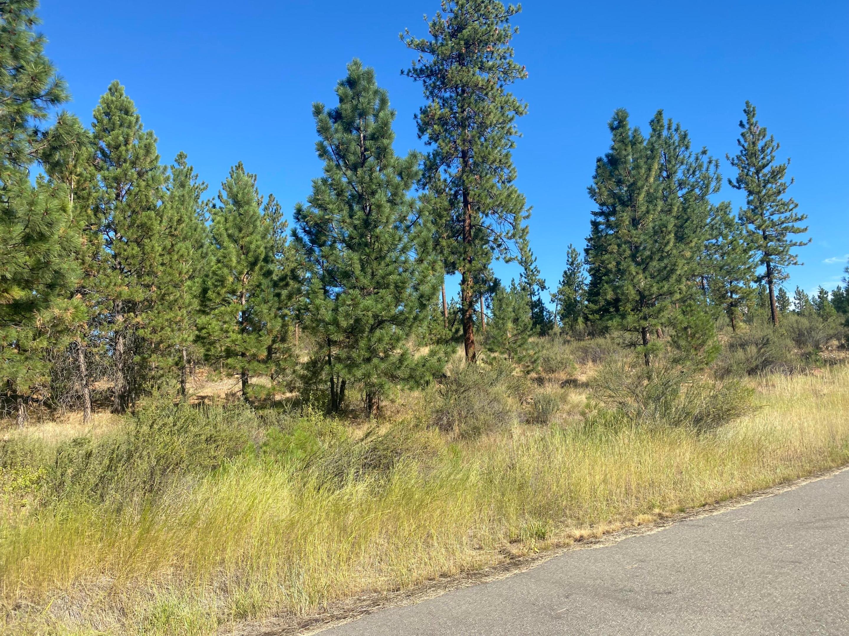 Lot 30 Bighorn Property Photo 6