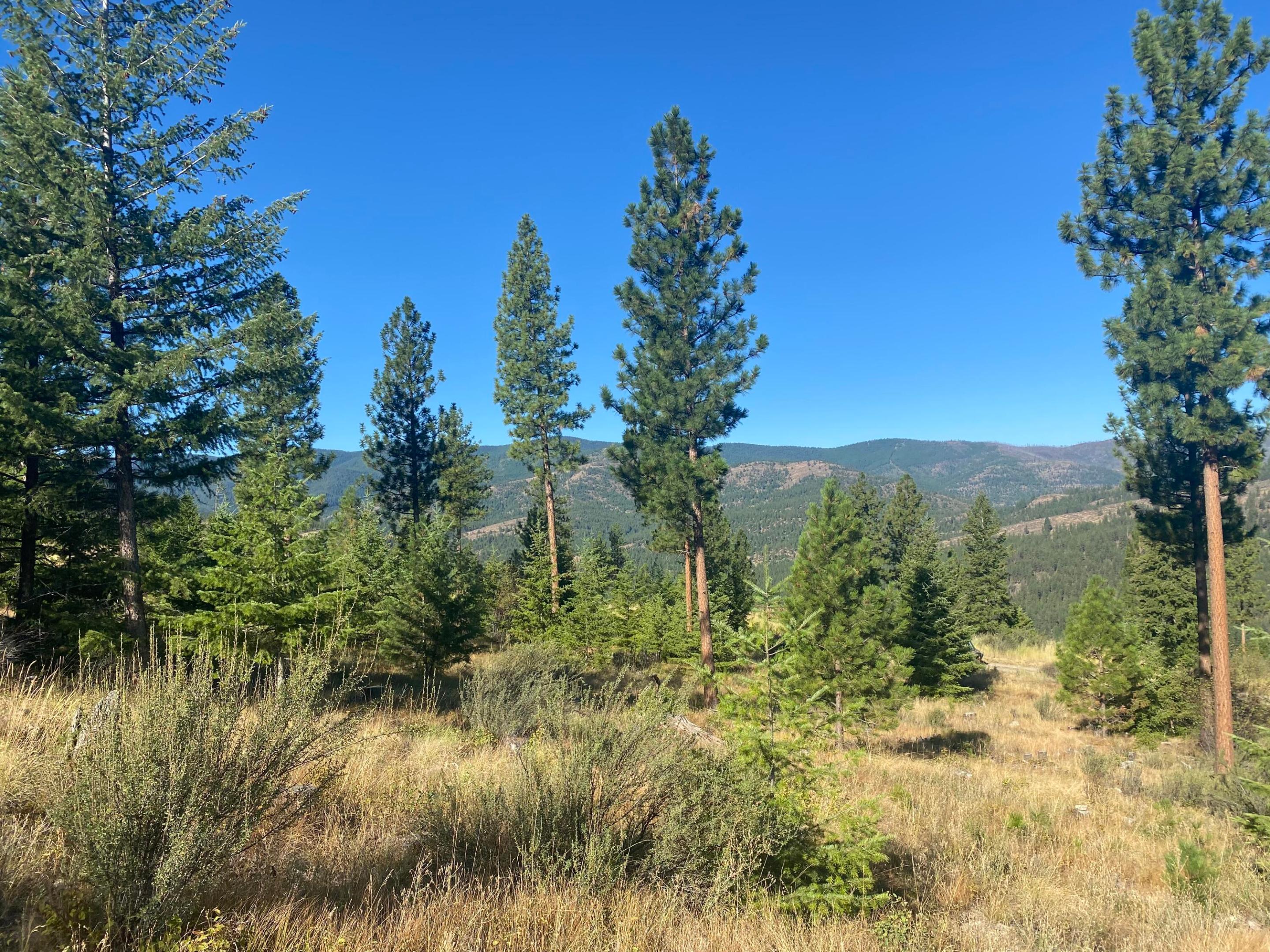 Lot 40 Bighorn Bluff Loop Property Photo 1
