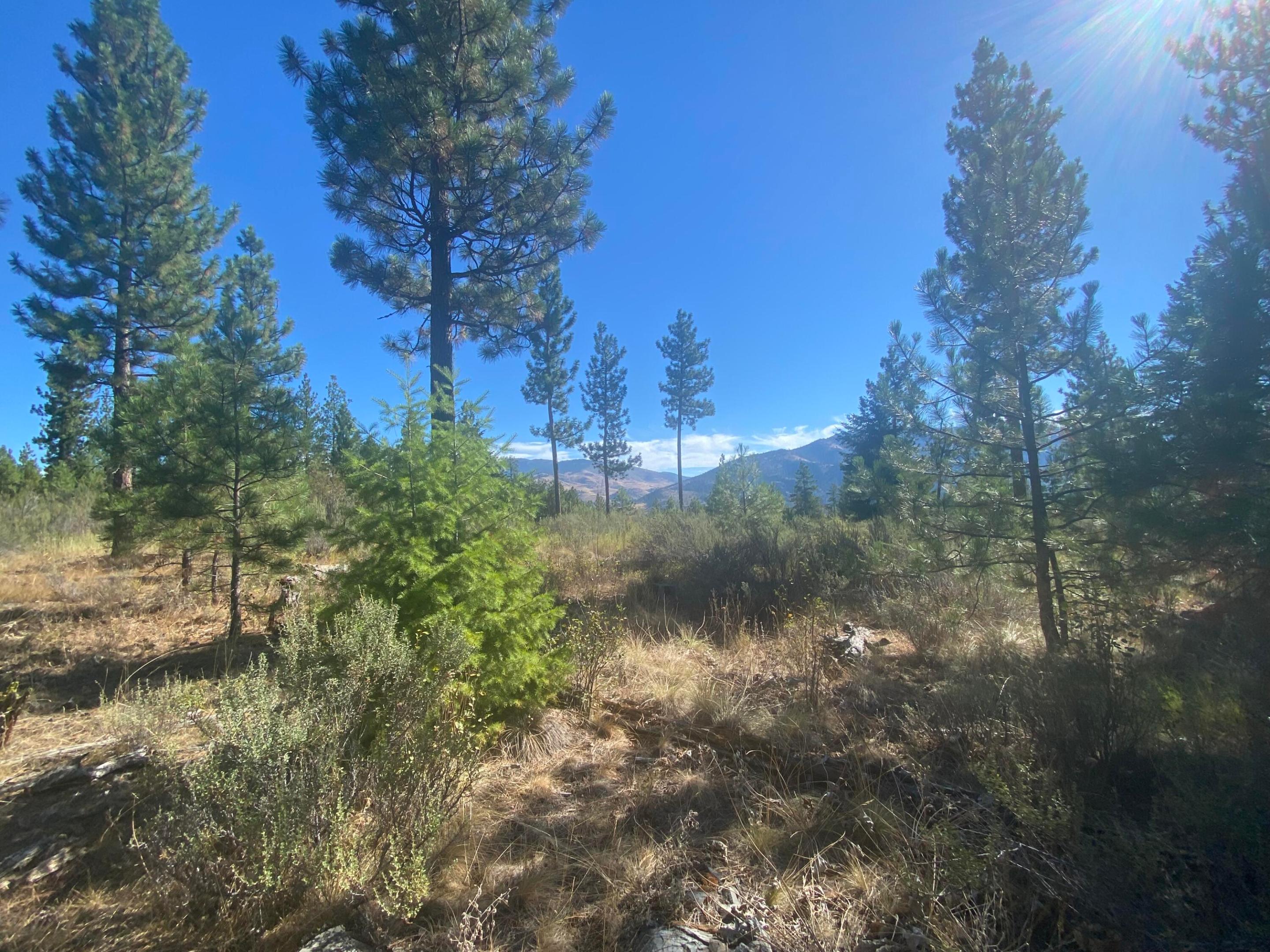 Lot 40 Bighorn Bluff Loop Property Photo 6