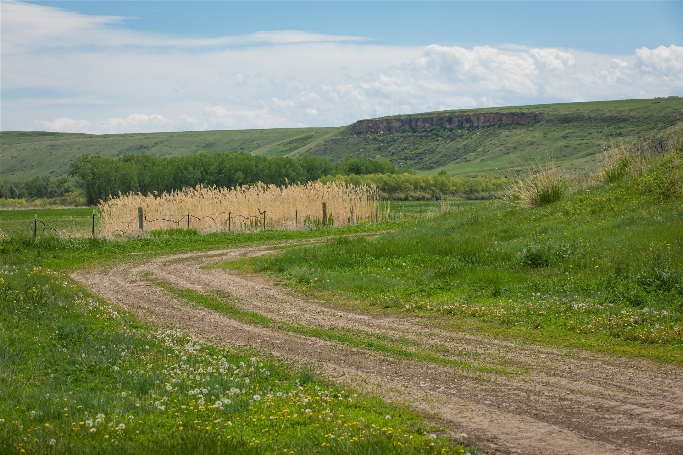 653 Millegan Road Property Photo 12