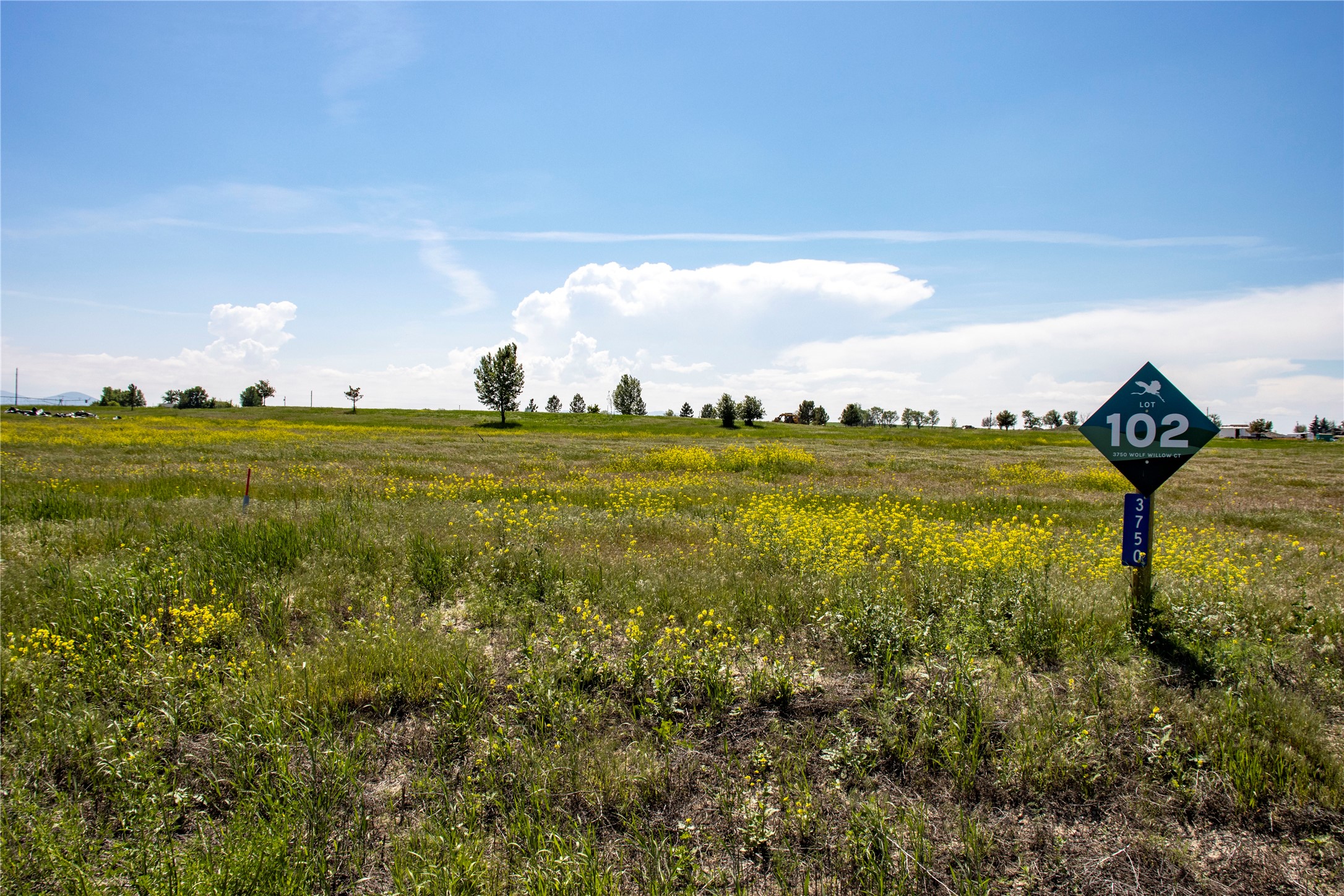 3750 Wolfwillow Court Property Photo 1