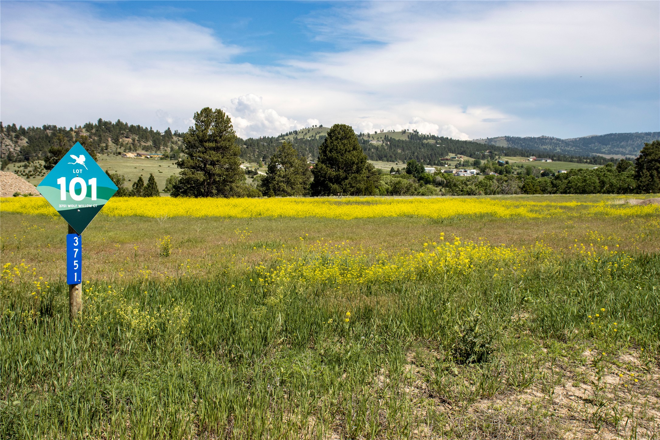 3751 Wolfwillow Court Property Photo 1