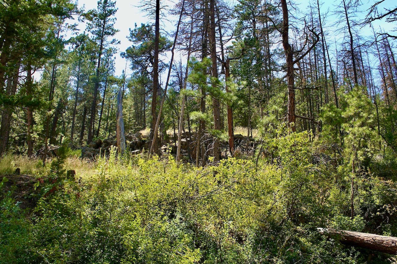 00 Box Canyon Lane