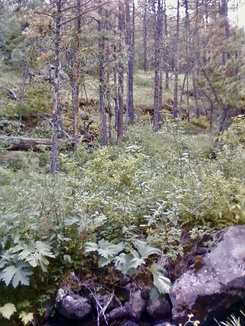 00 Box Canyon Lane Property Photo 3