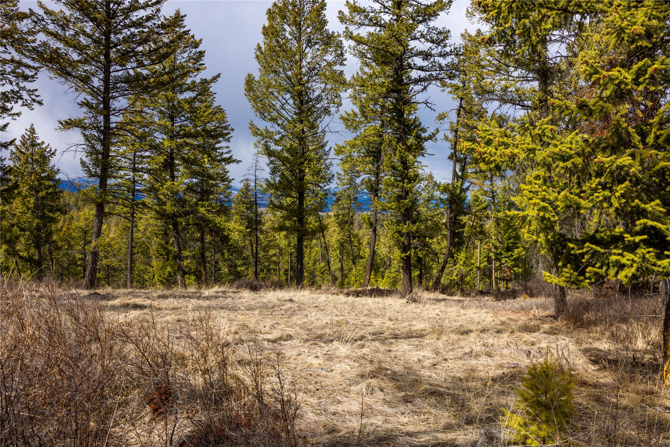 1243 Tobacco Valley View Road Property Photo 2