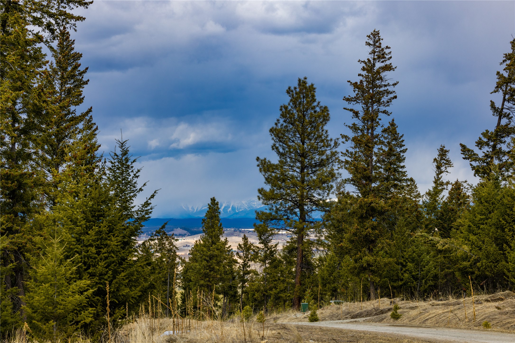 1243 Tobacco Valley View Road Property Photo 8
