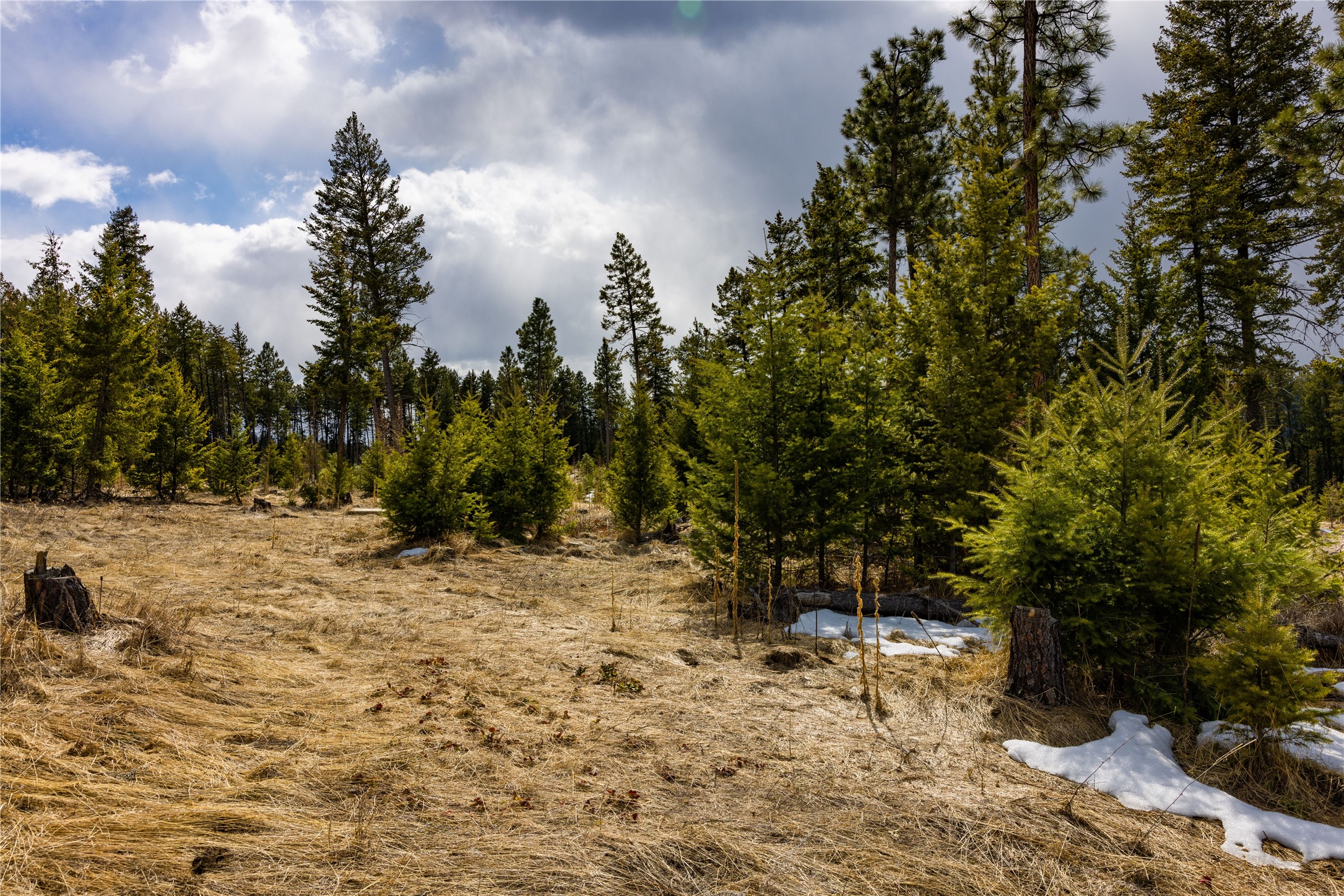 1243 Tobacco Valley View Road Property Photo 11