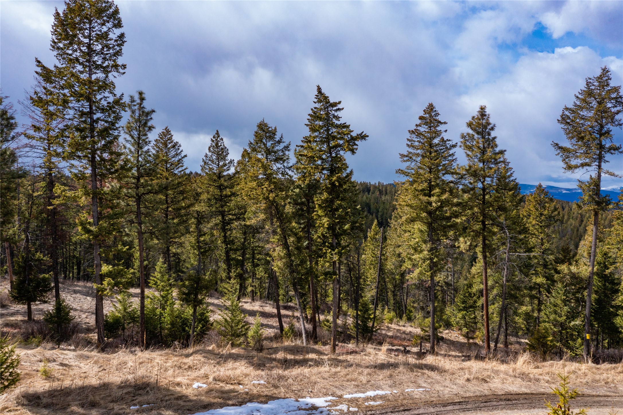 1243 Tobacco Valley View Road Property Photo 12