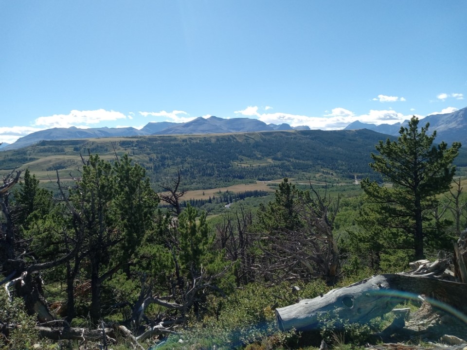 Nhn Hwy 89 Property Photo 2