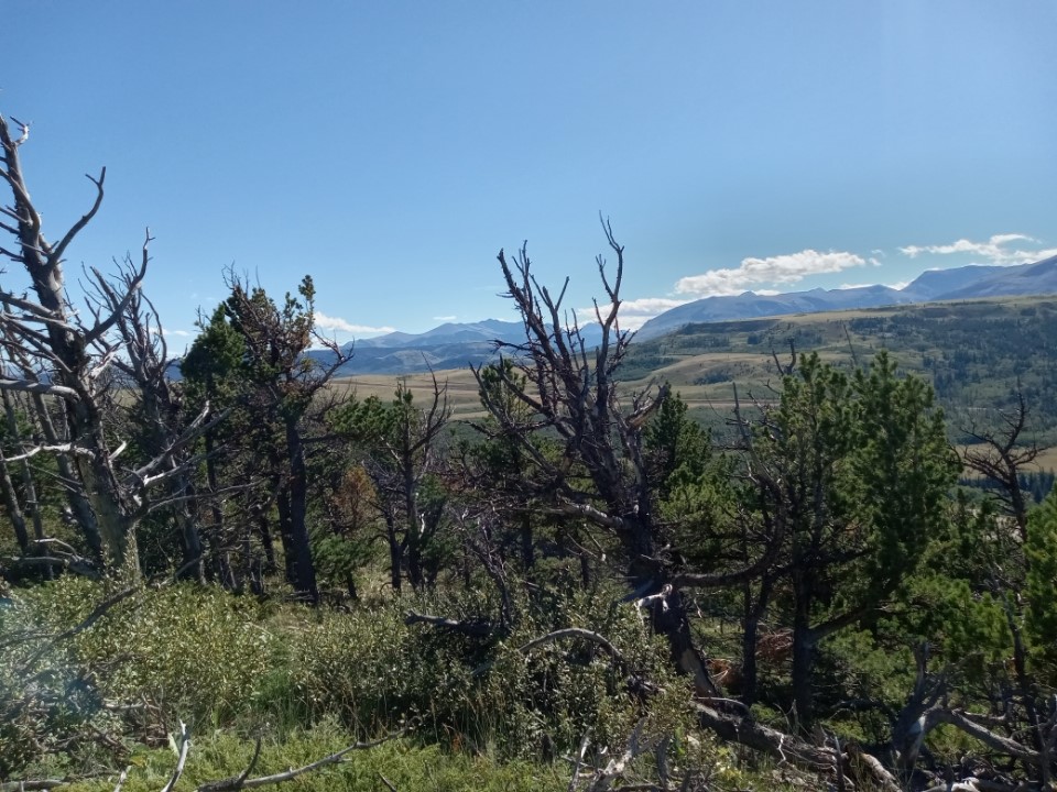 Nhn Hwy 89 Property Photo 3