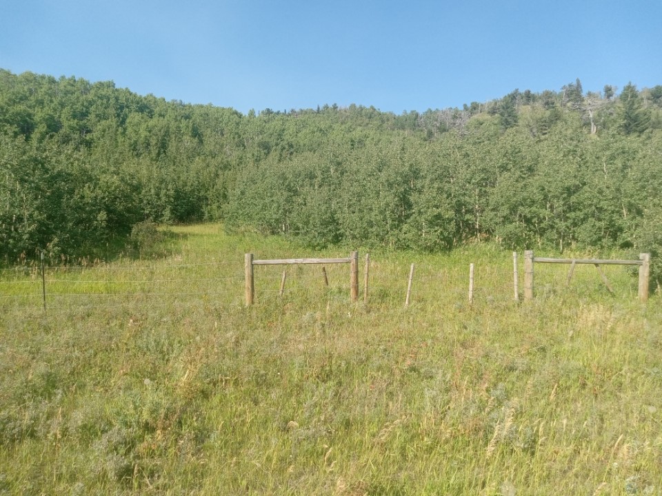 Nhn Hwy 89 Property Photo 4
