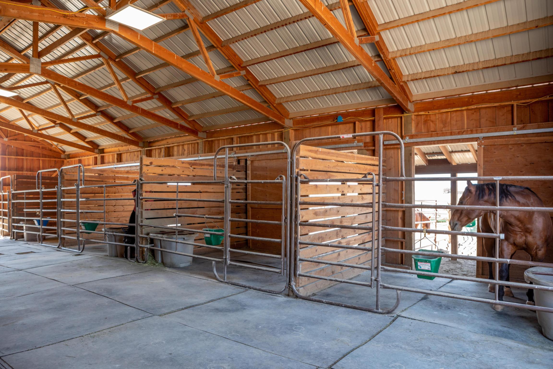 35259 Dublin Gulch Road Property Photo 51