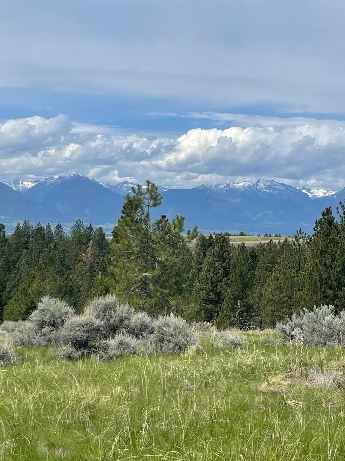 000 Sapphire Ranch Trail Property Photo 4