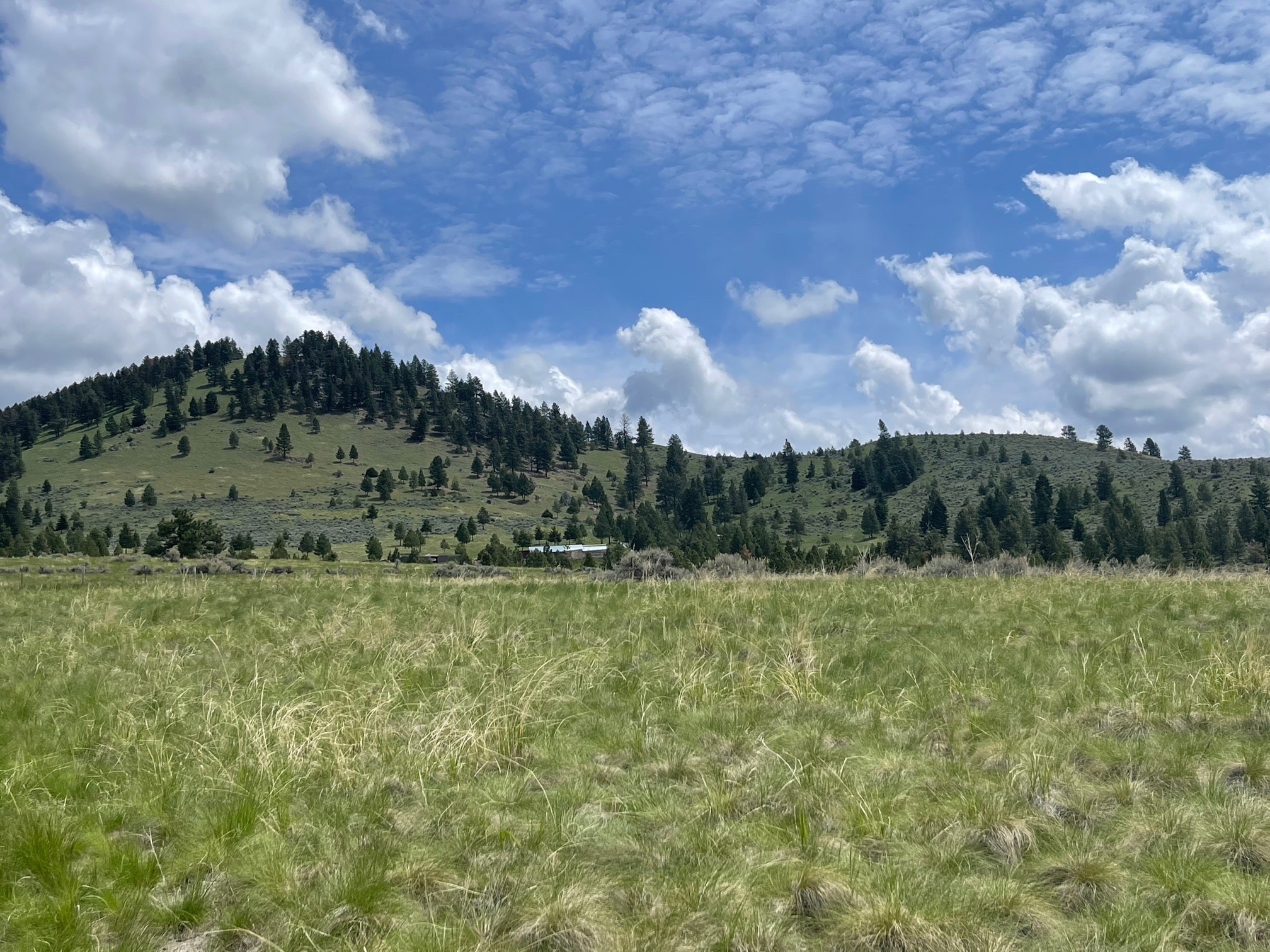 000 Sapphire Ranch Trail Property Photo 8